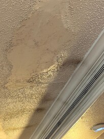 Ceiling in dining area