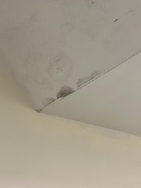 Mold
