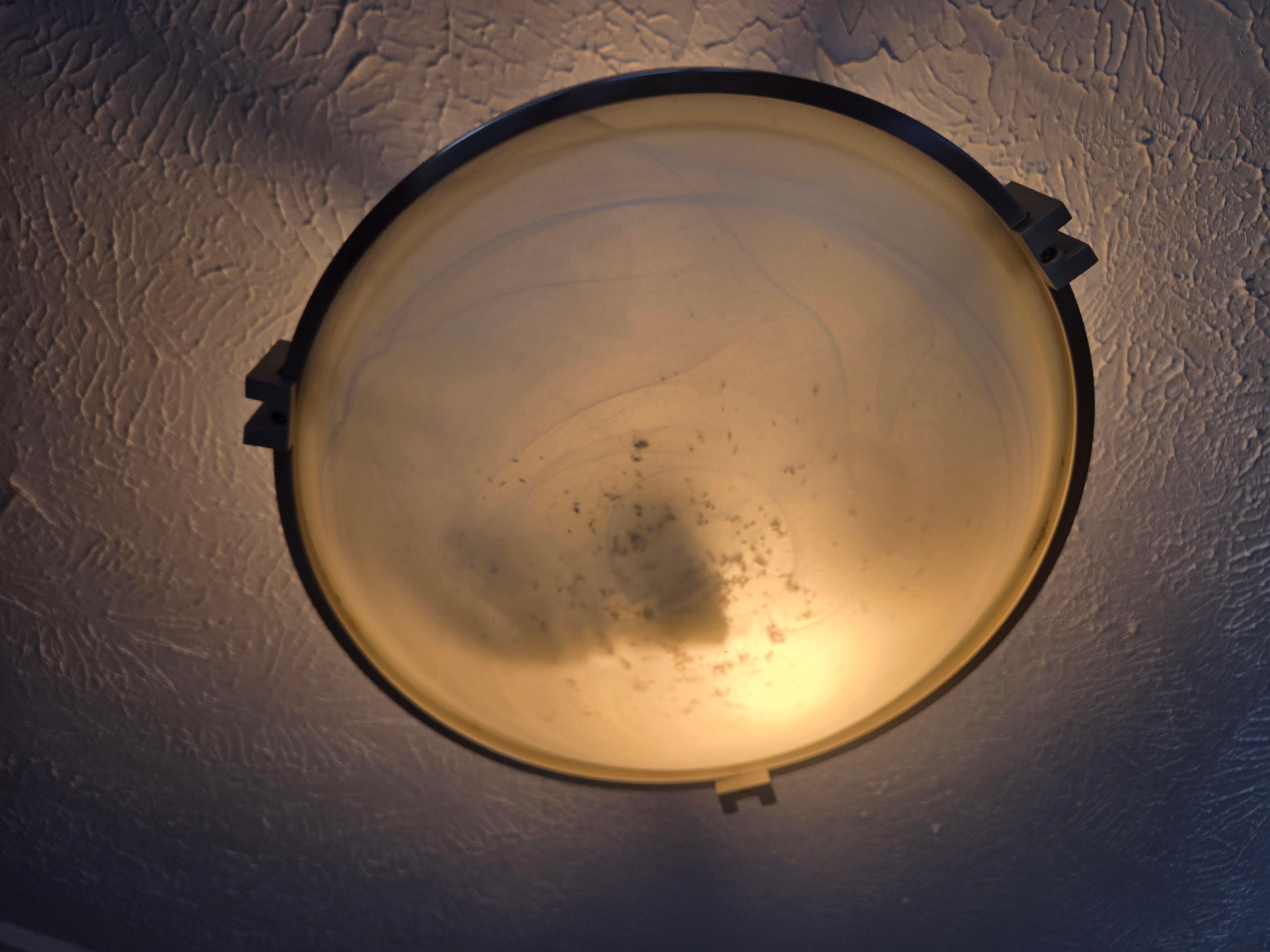 Dead bugs in light fixture