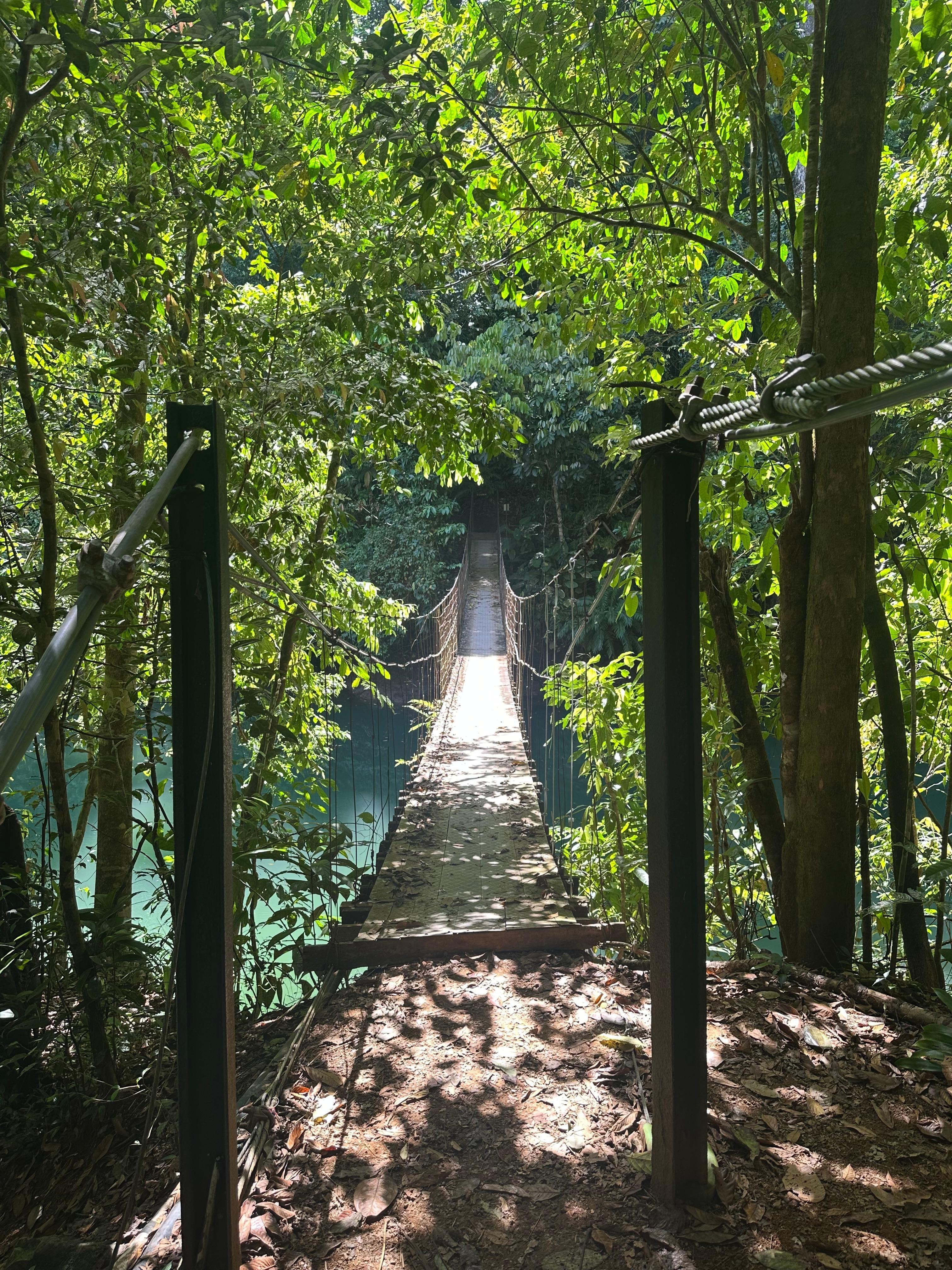Walk to the closest beach trough the jungle