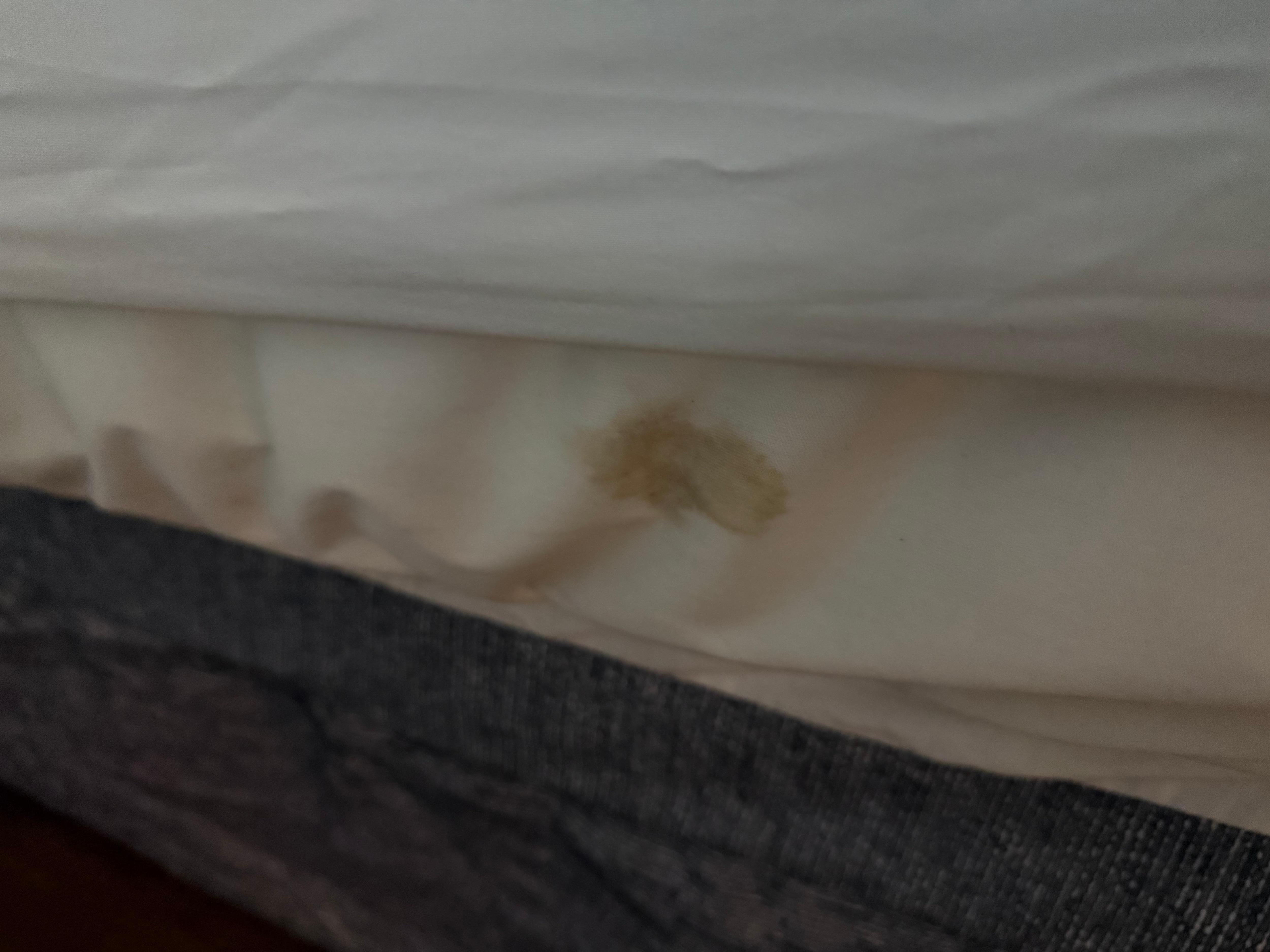 Stain on beds