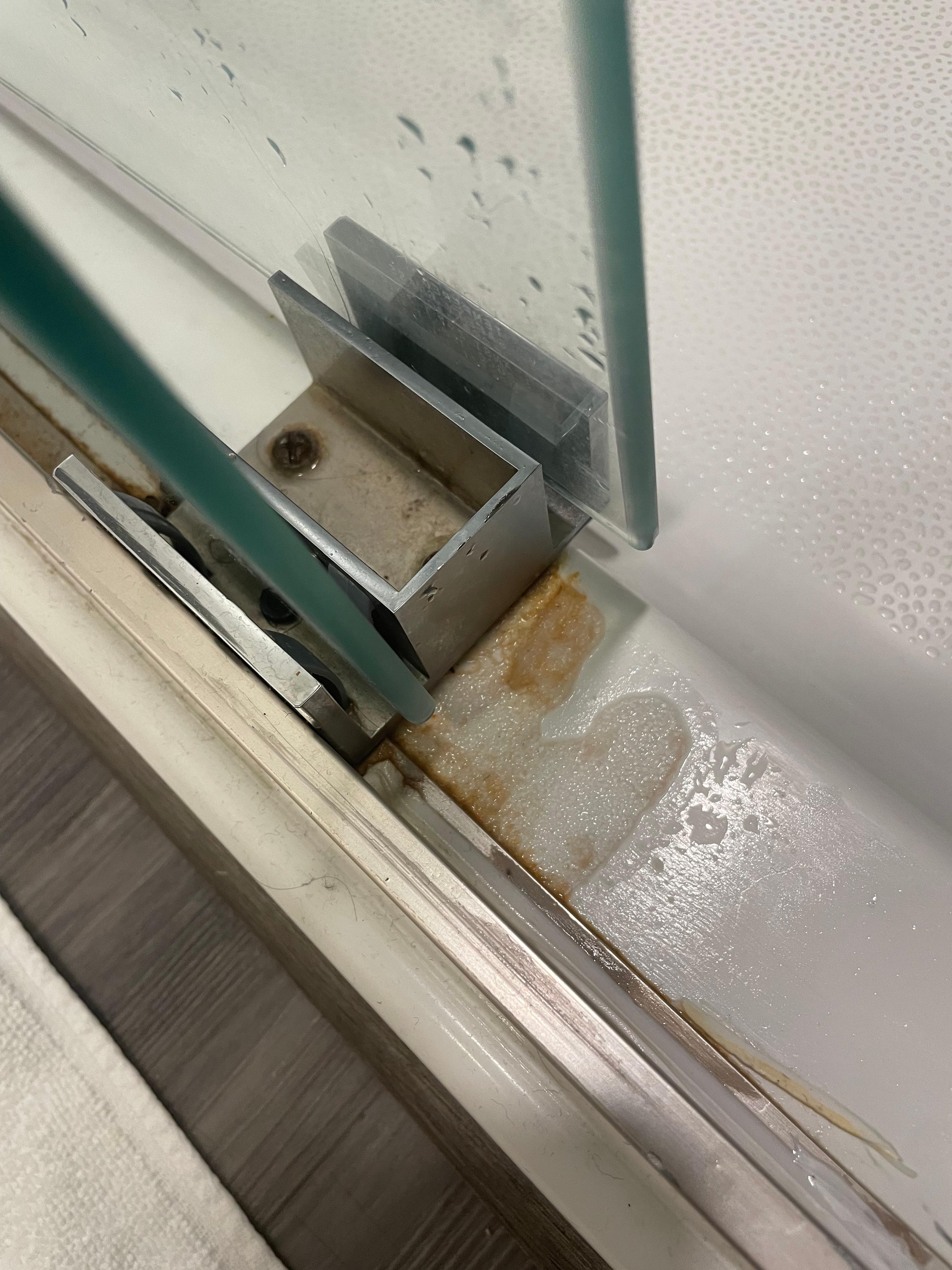 Pink slimy mold in shower. 