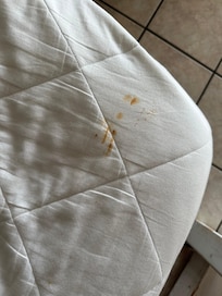 Stains on pullout bed