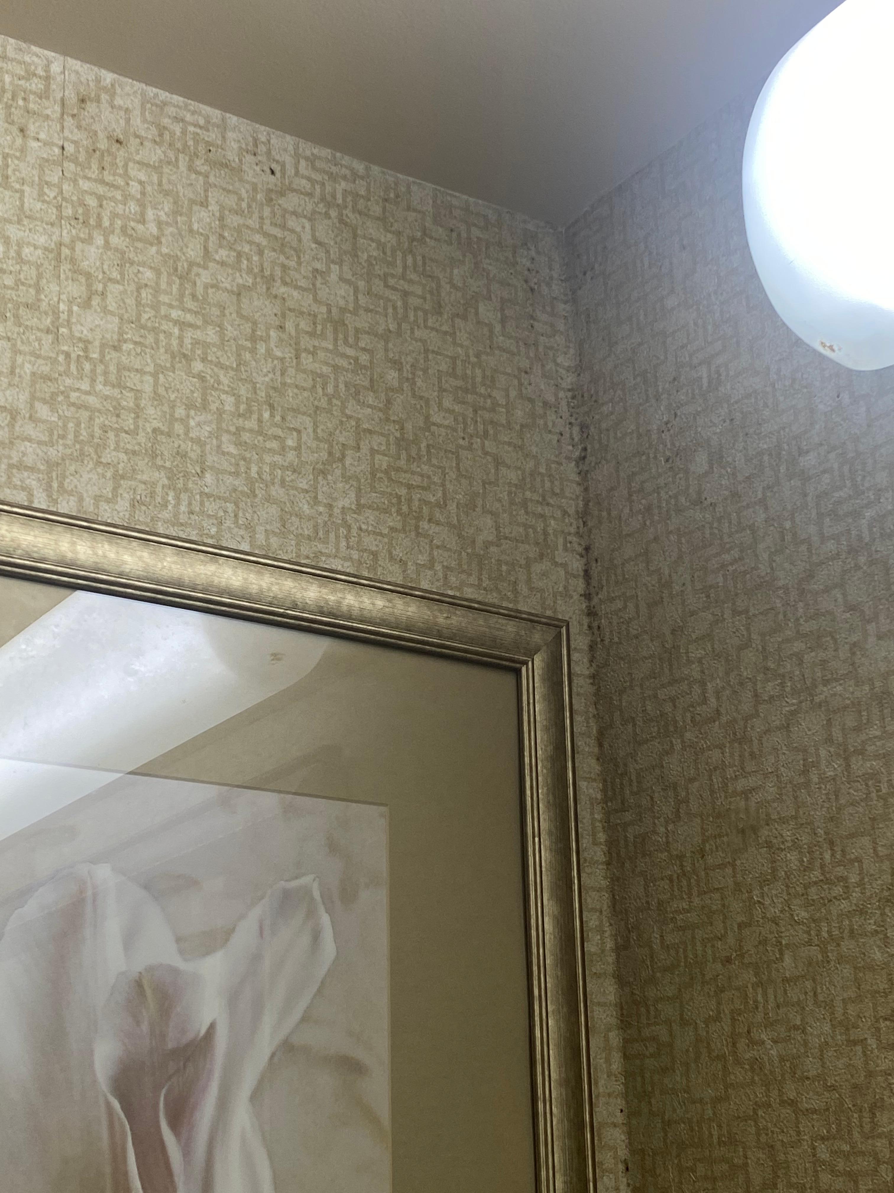 Black mold in bathroom 