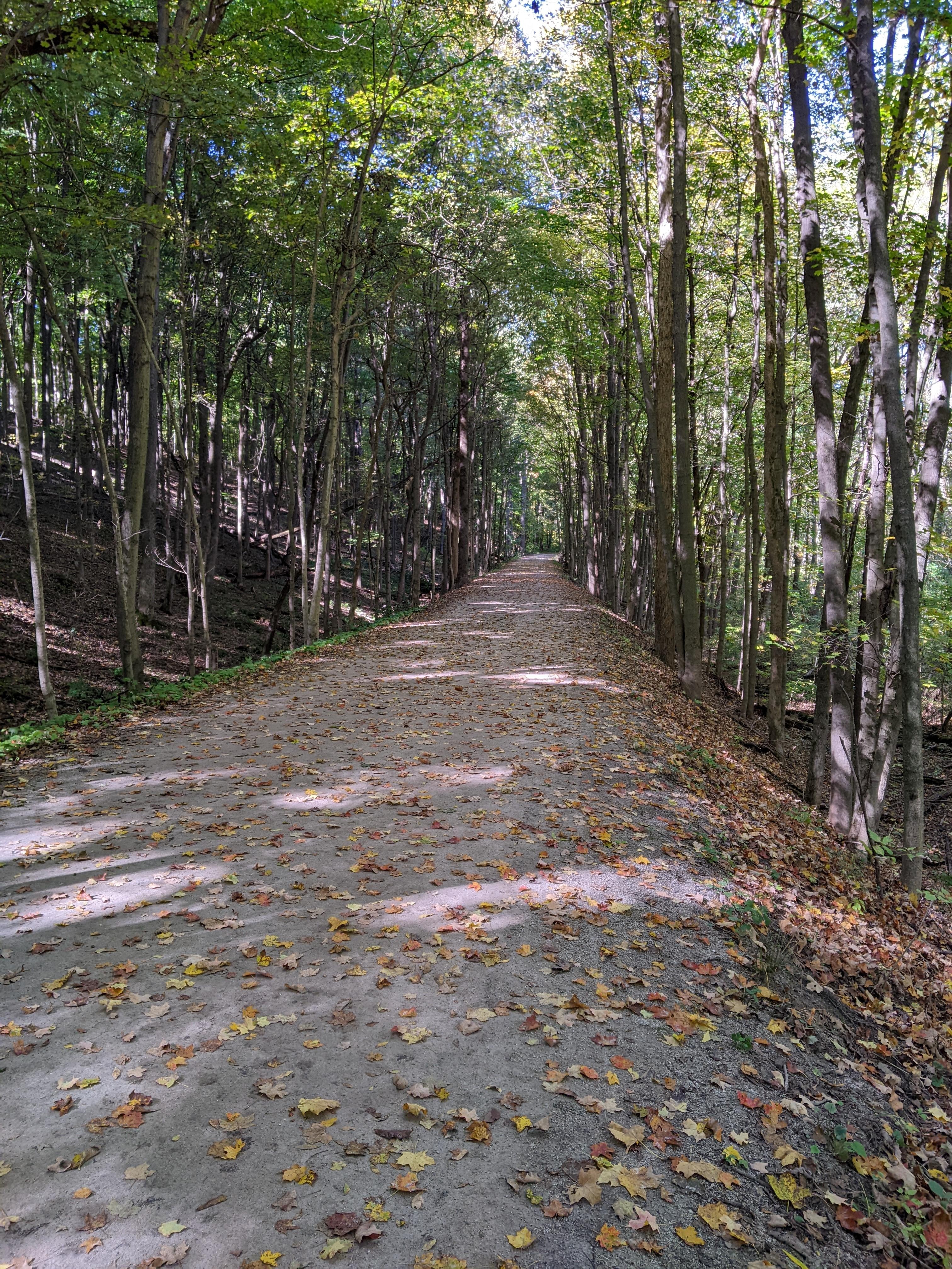 Kal-Haven trail between Gobles and K-zoo.