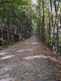 Kal-Haven trail between Gobles and K-zoo.