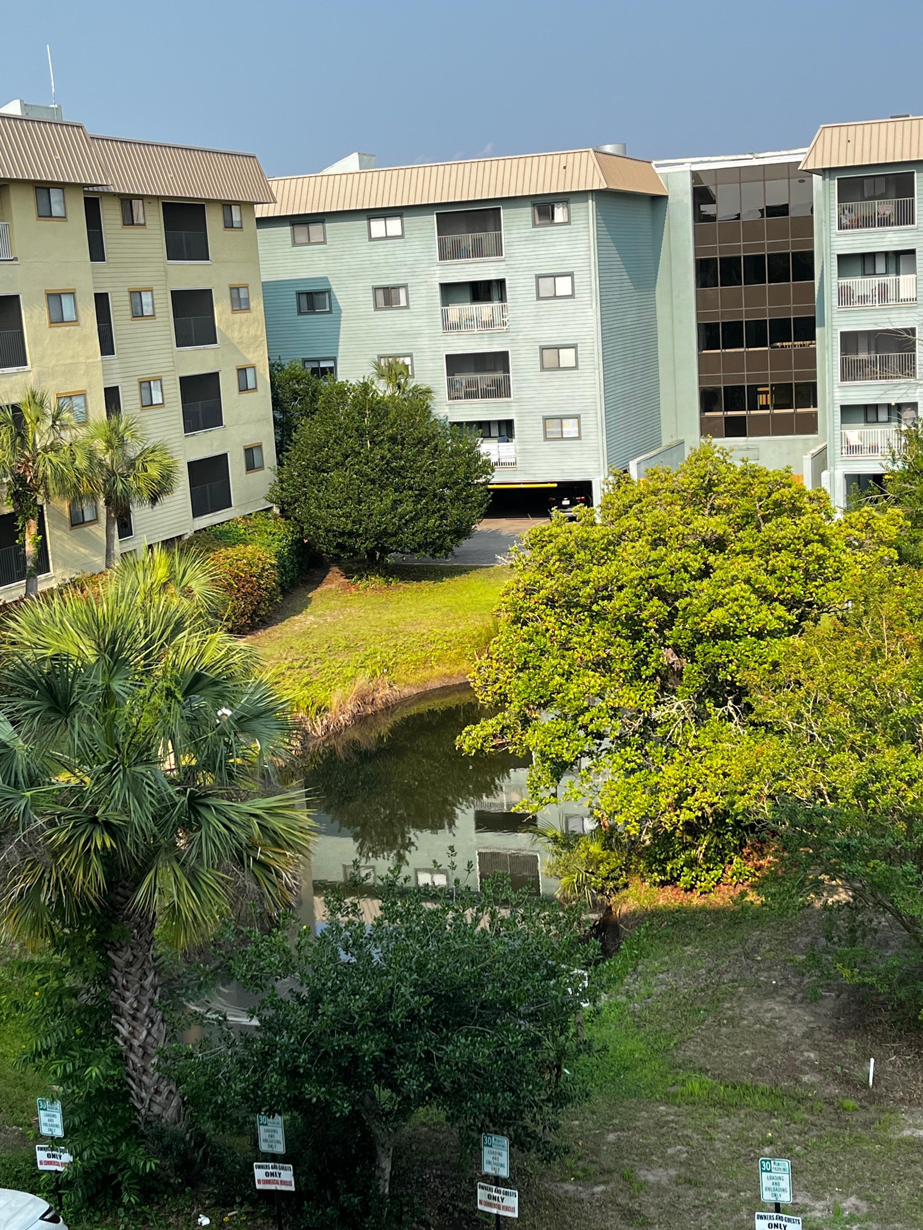 view from balcony