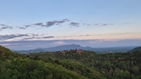 The view
