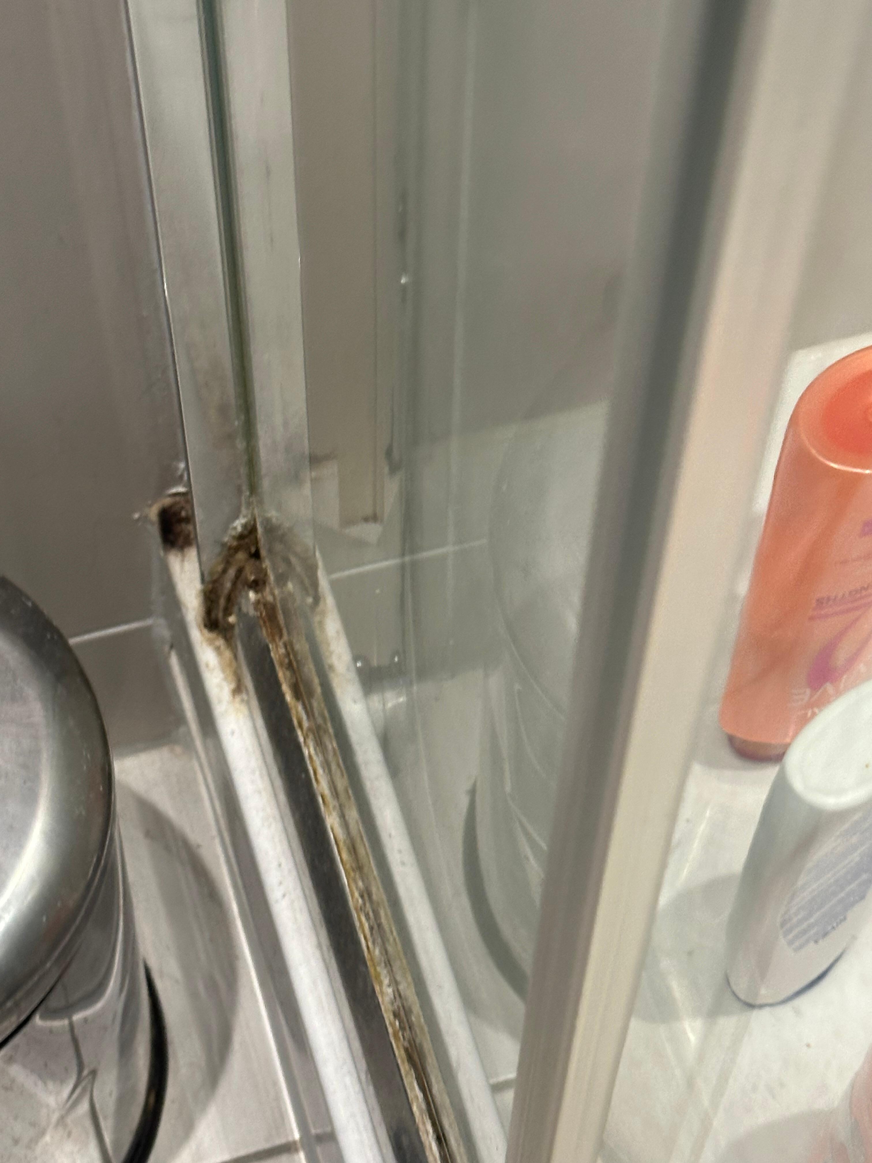 Disgusting shower