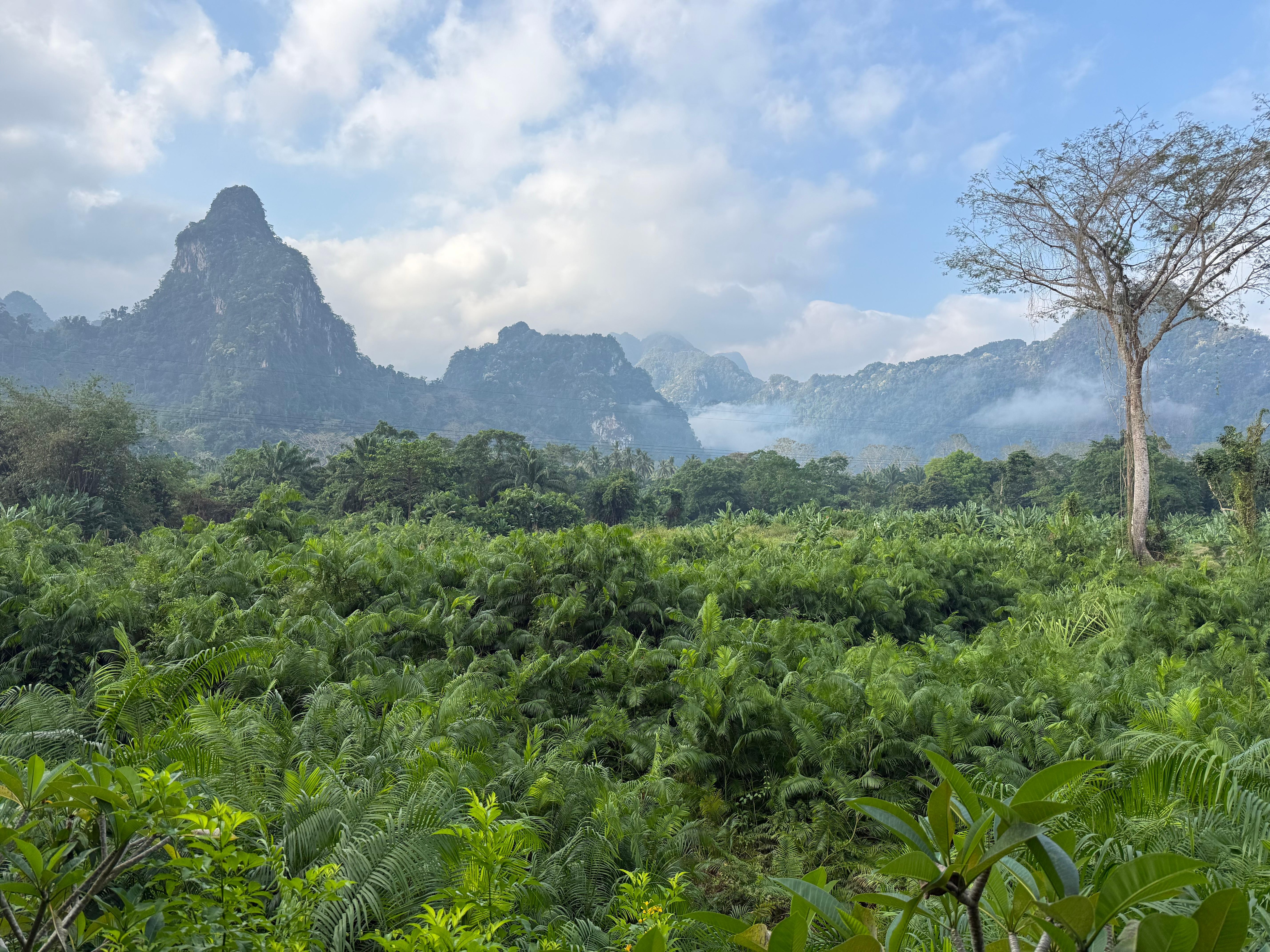 Udsigt fra restaurant 