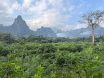 Udsigt fra restaurant