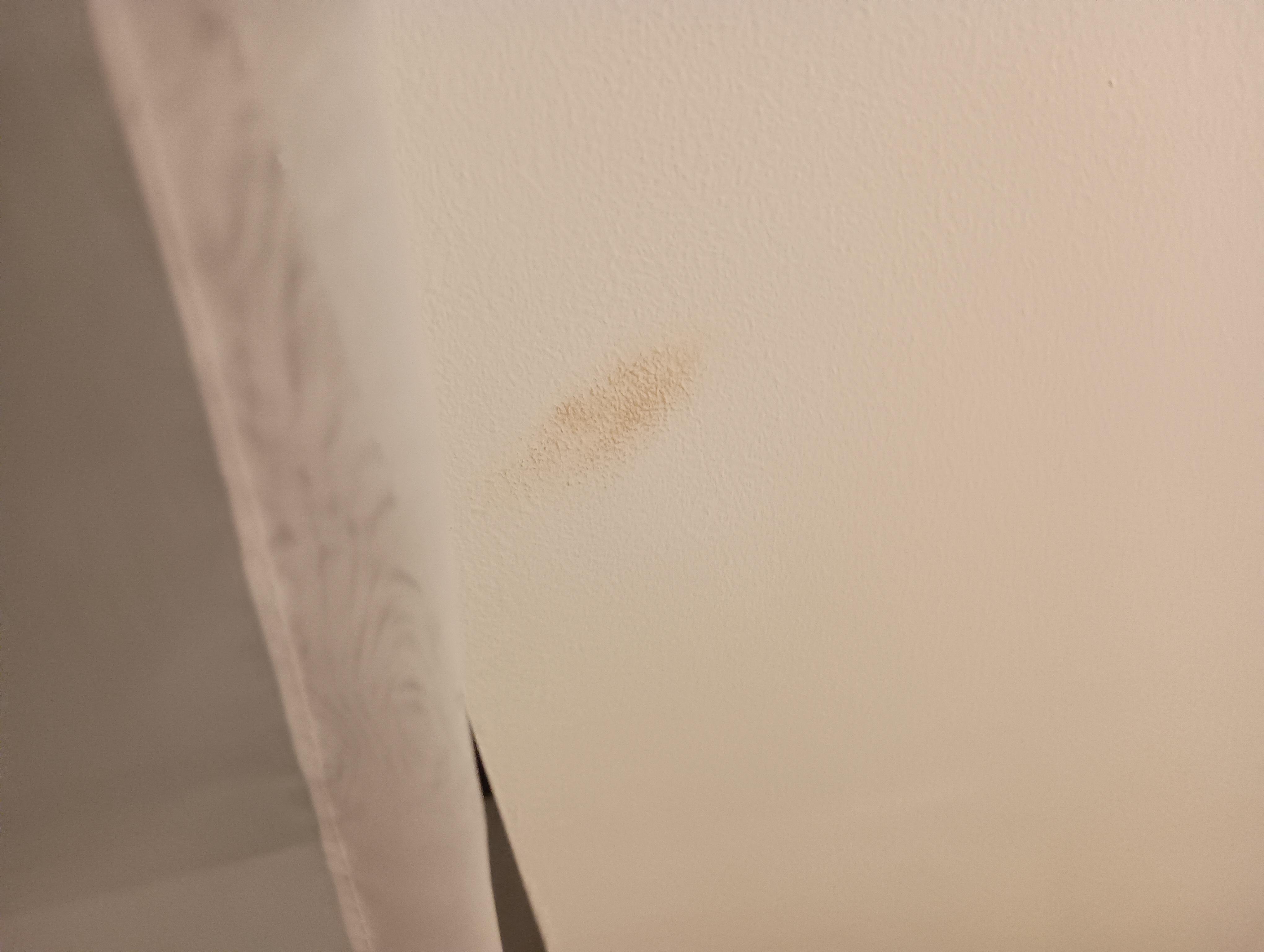 Poop smear on the wall