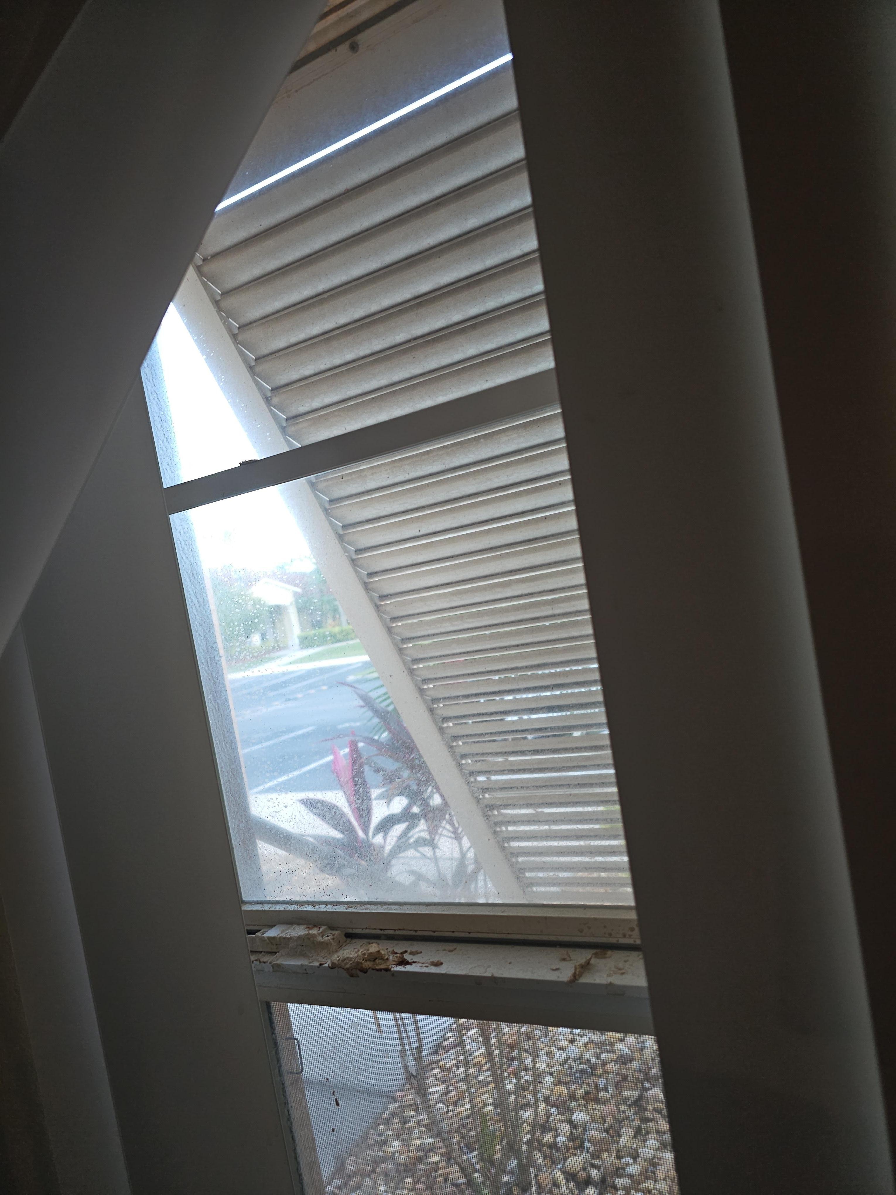 Mold all over the kitchen window and walls