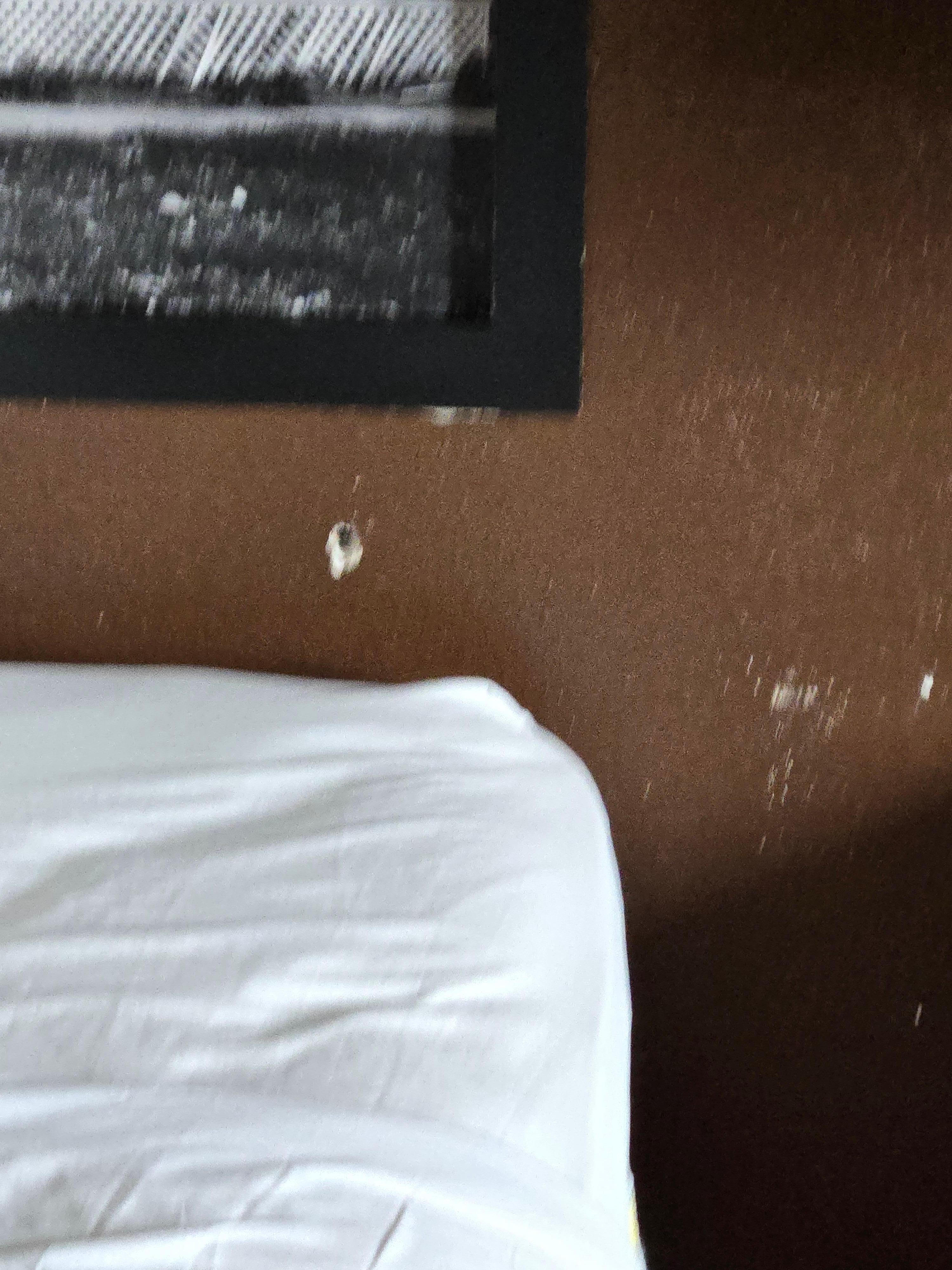 H o l e s everywhere