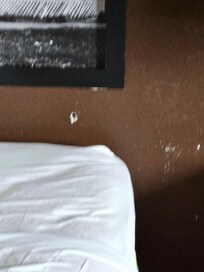 H o l e s everywhere