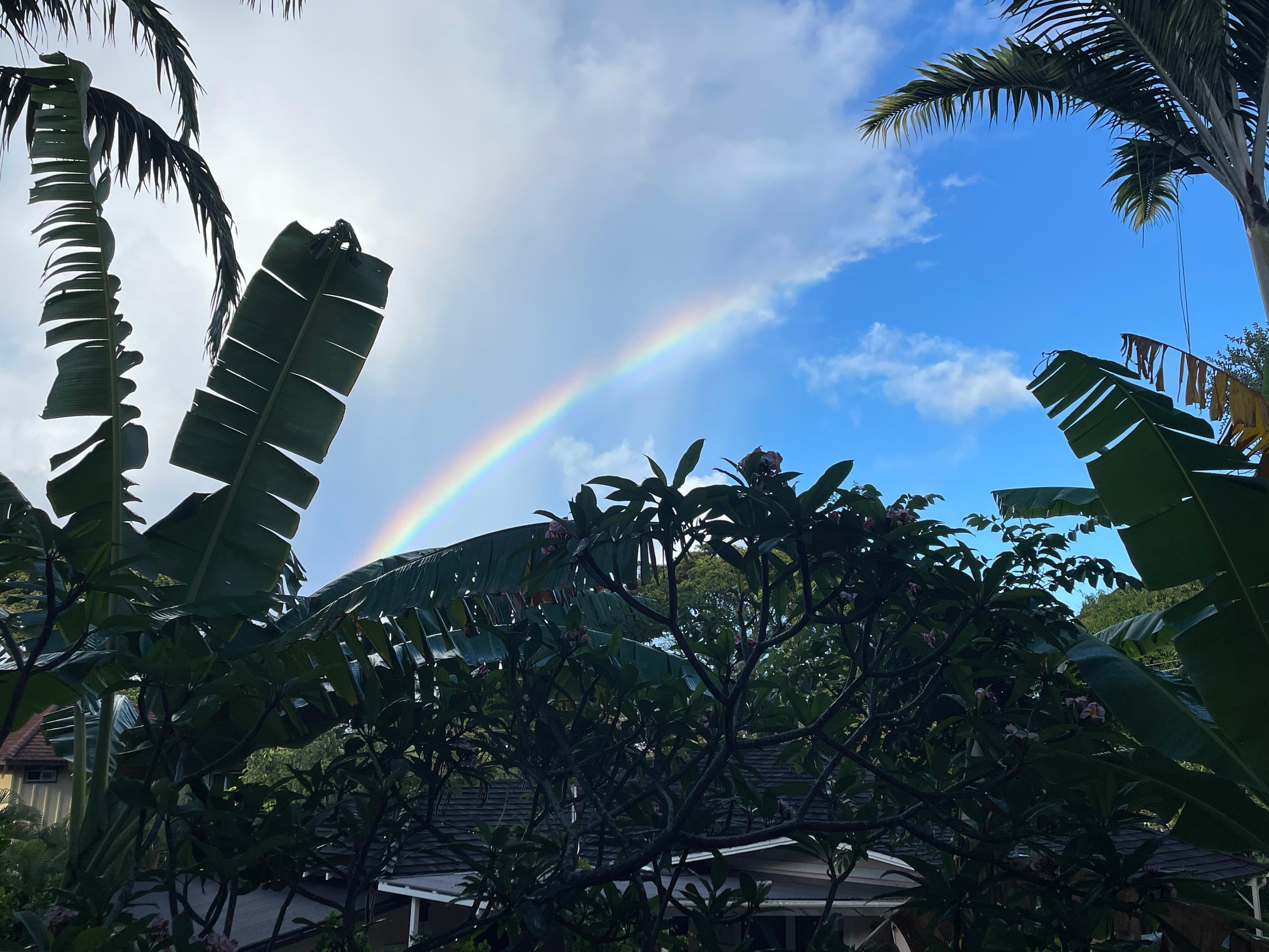 Sunrise from the apartment lanai 