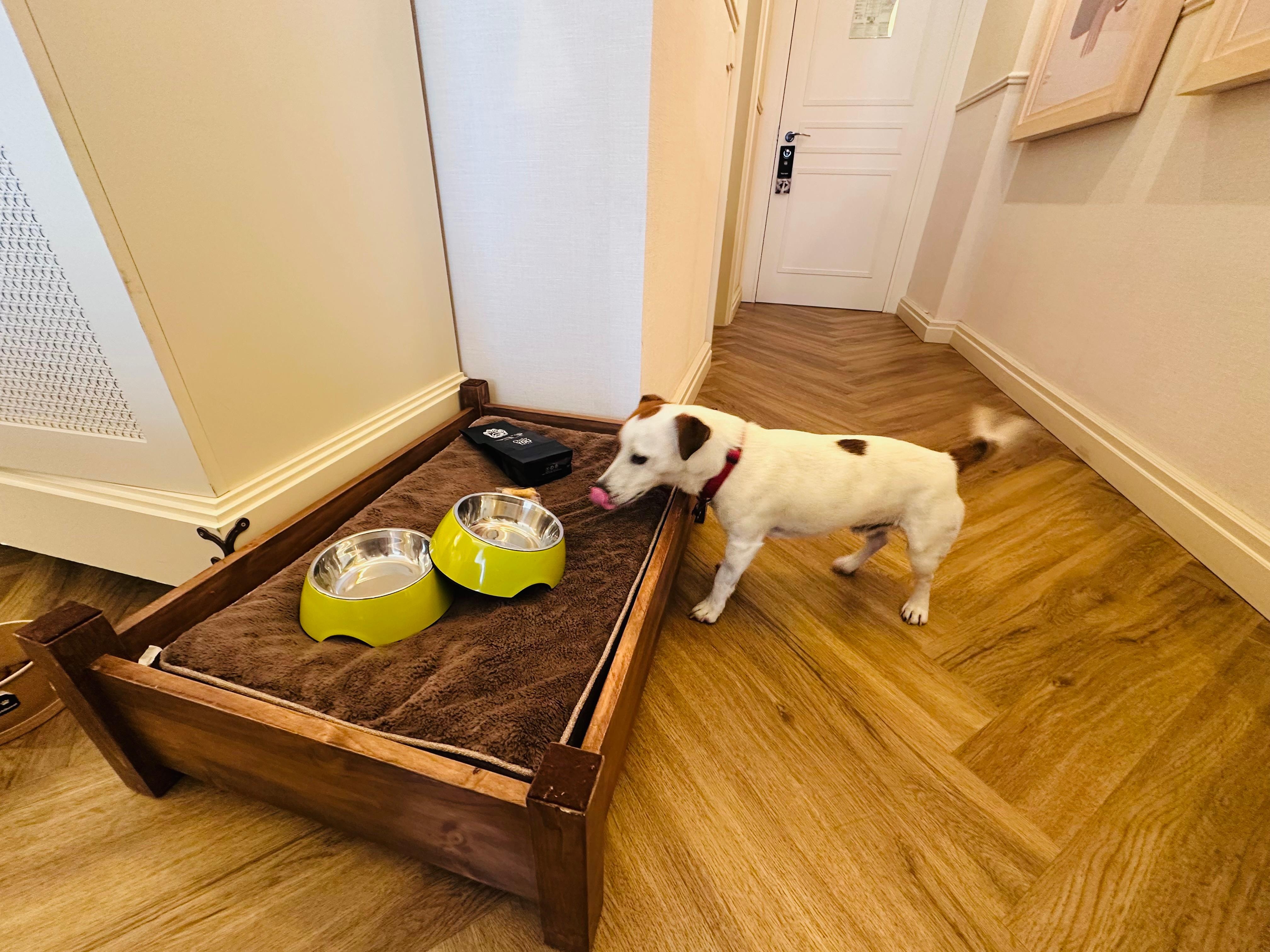 Kit d’accueil ses chiens. Très appréciable. 