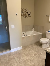 Master bathroom
