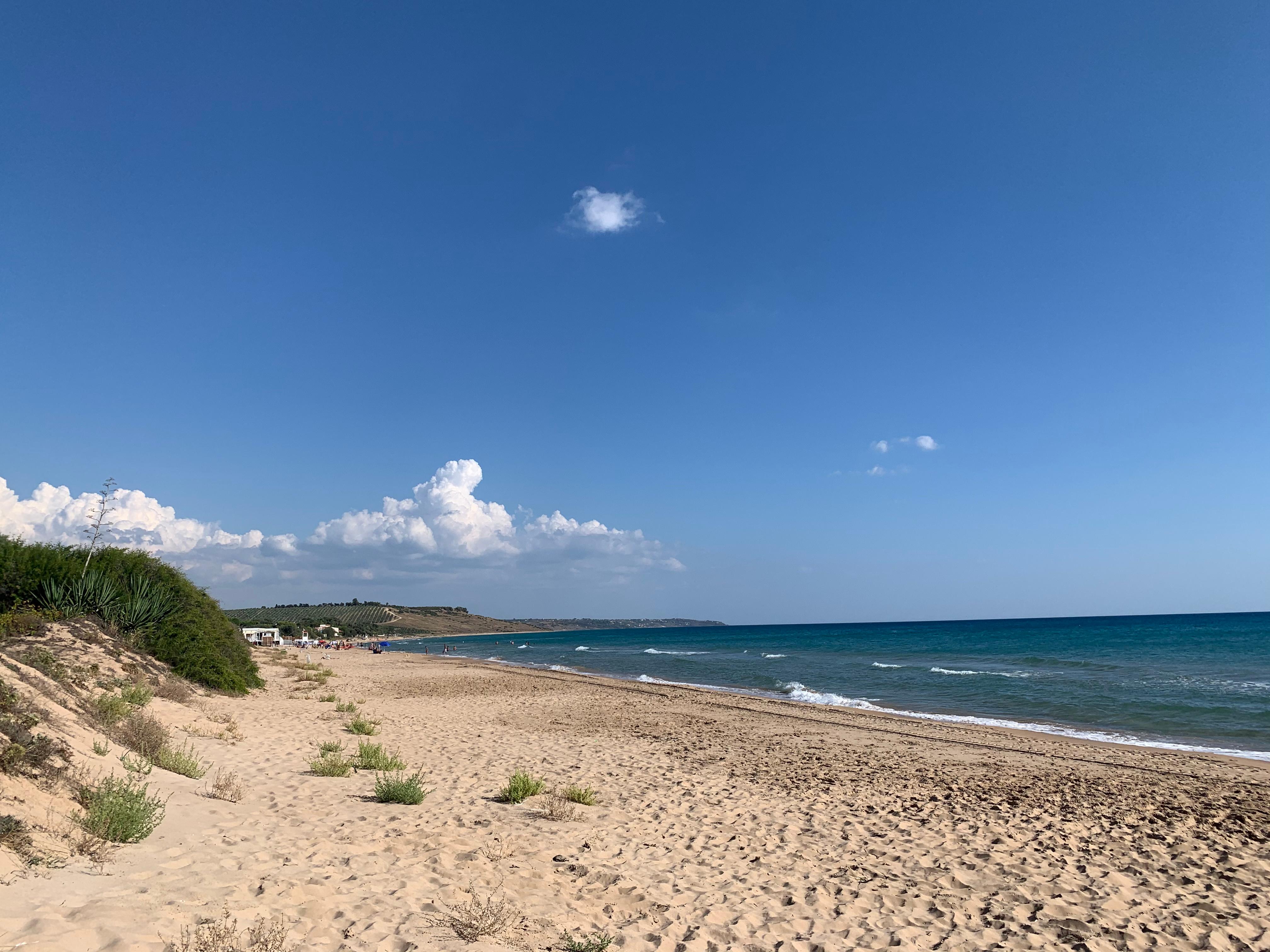 Local beach