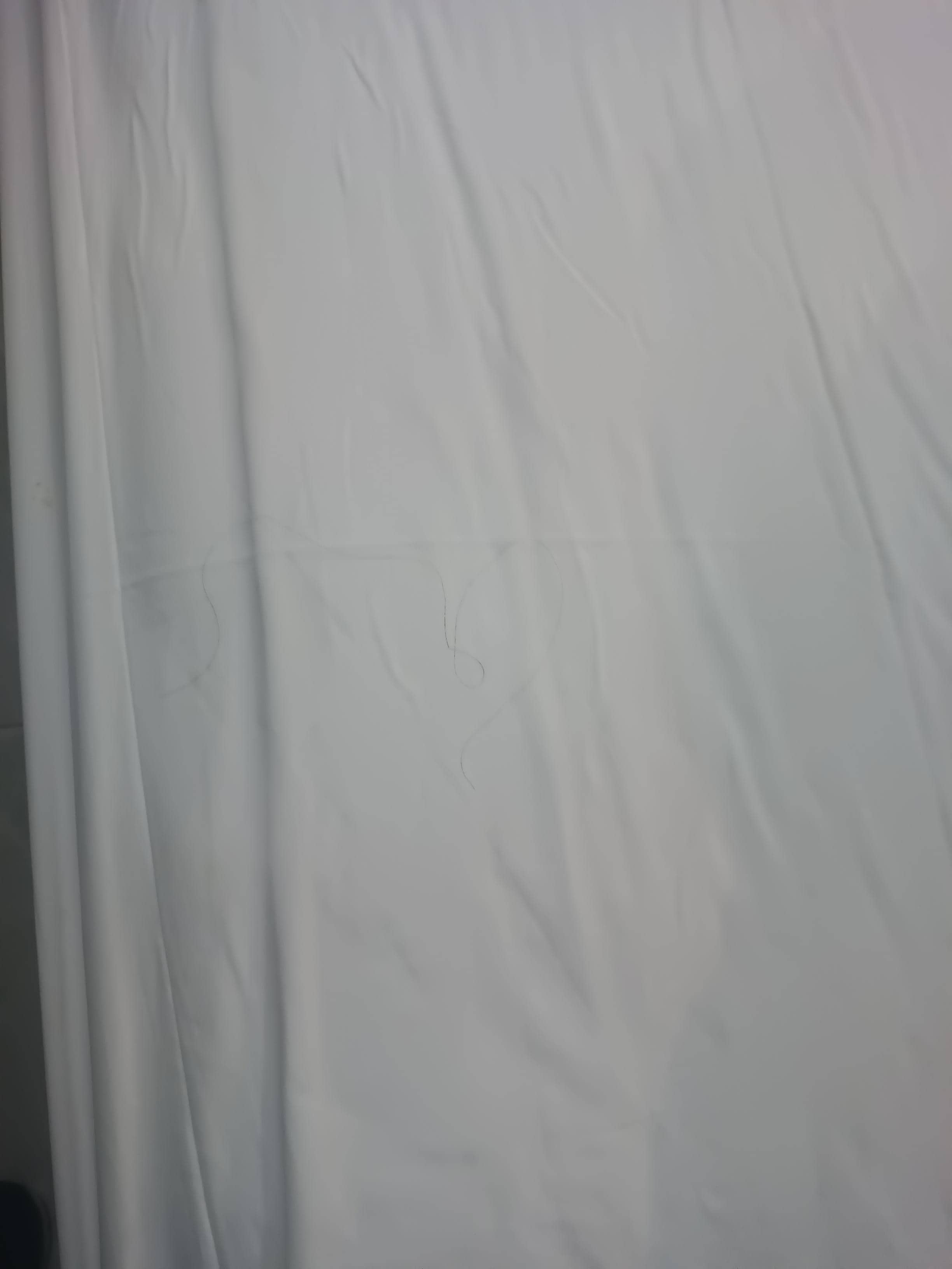 Hairs and stain in the sheets