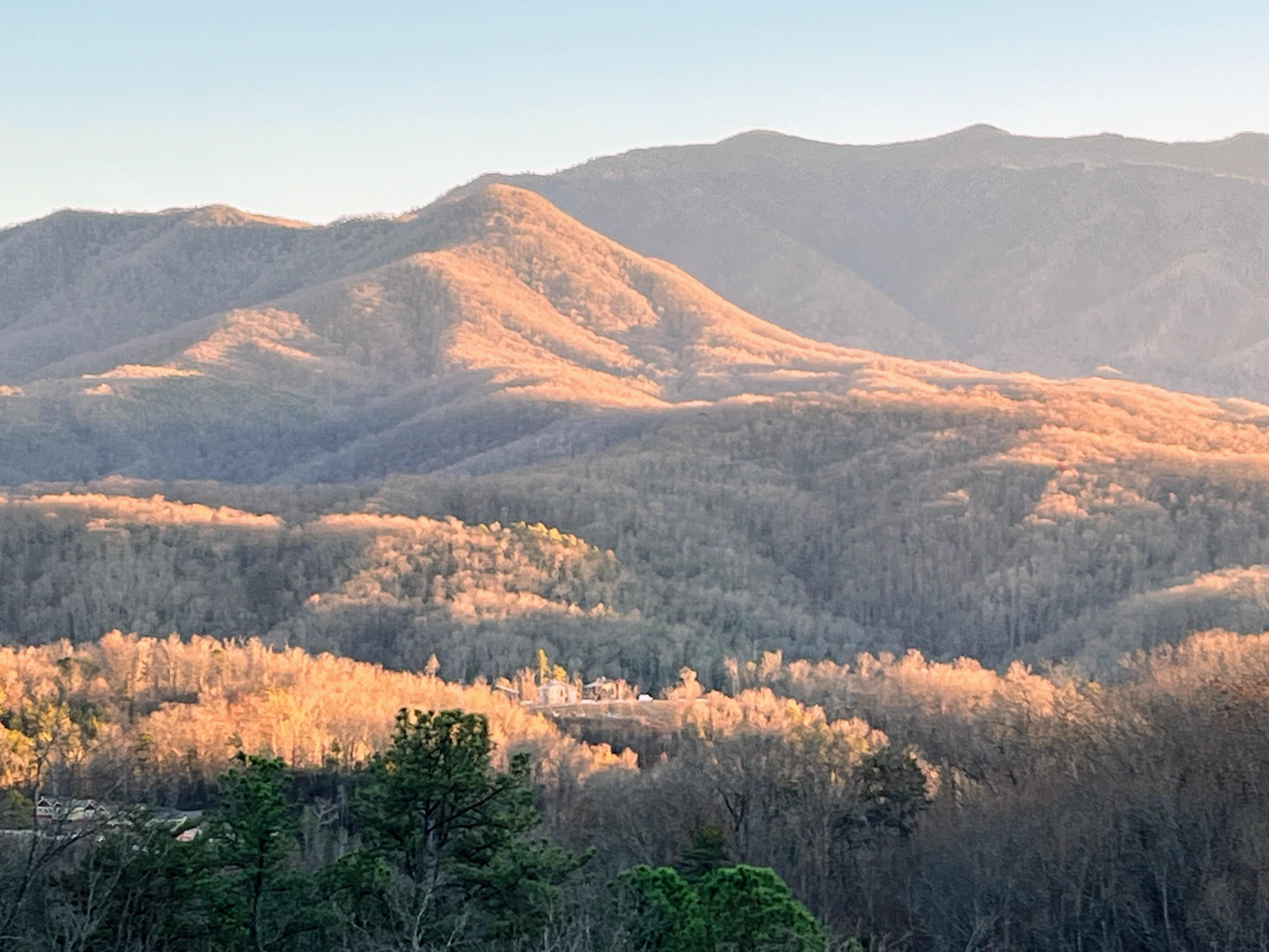 Beautiful sunrise view from back deck.