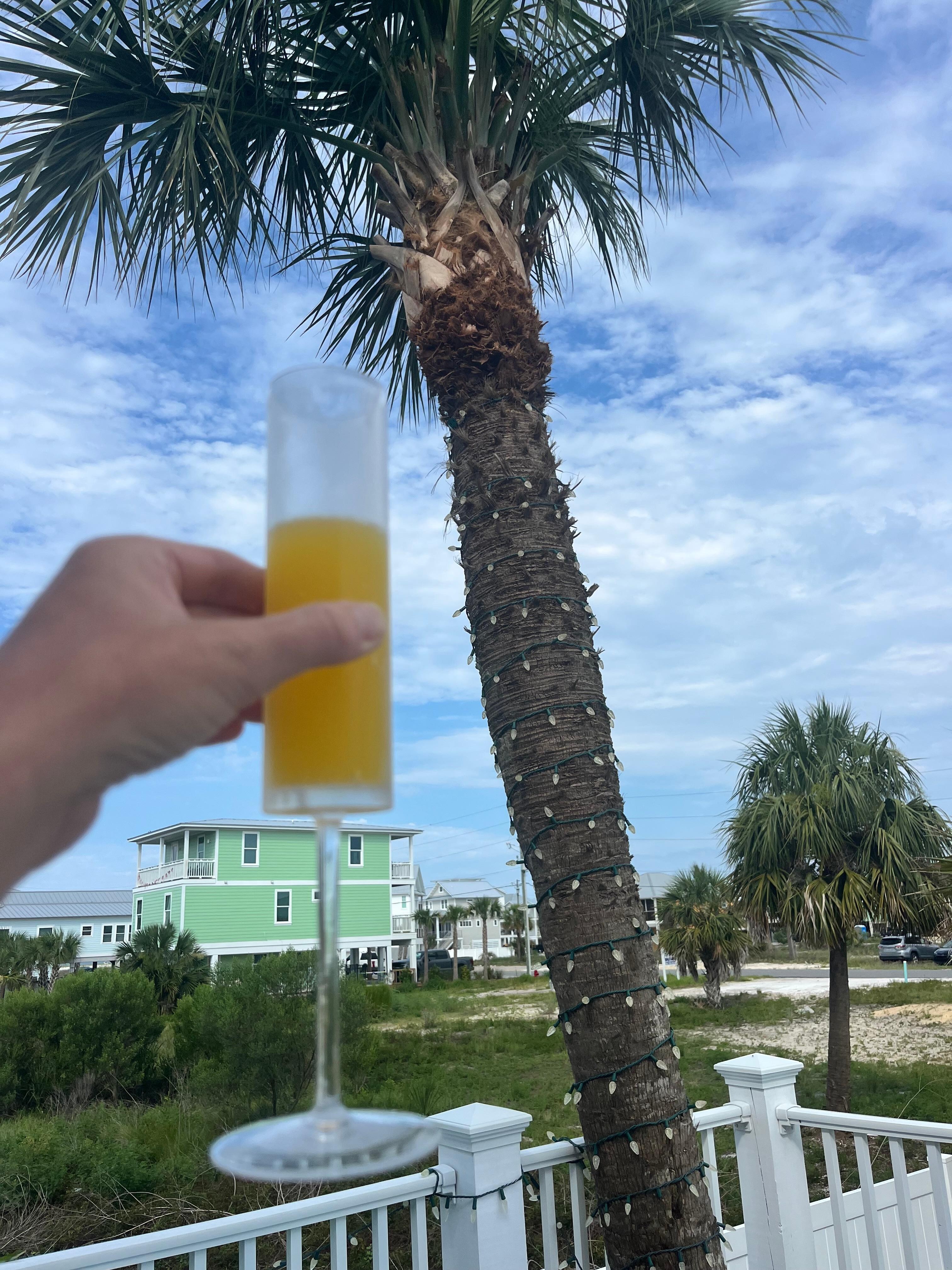 Mimosa on the back porch