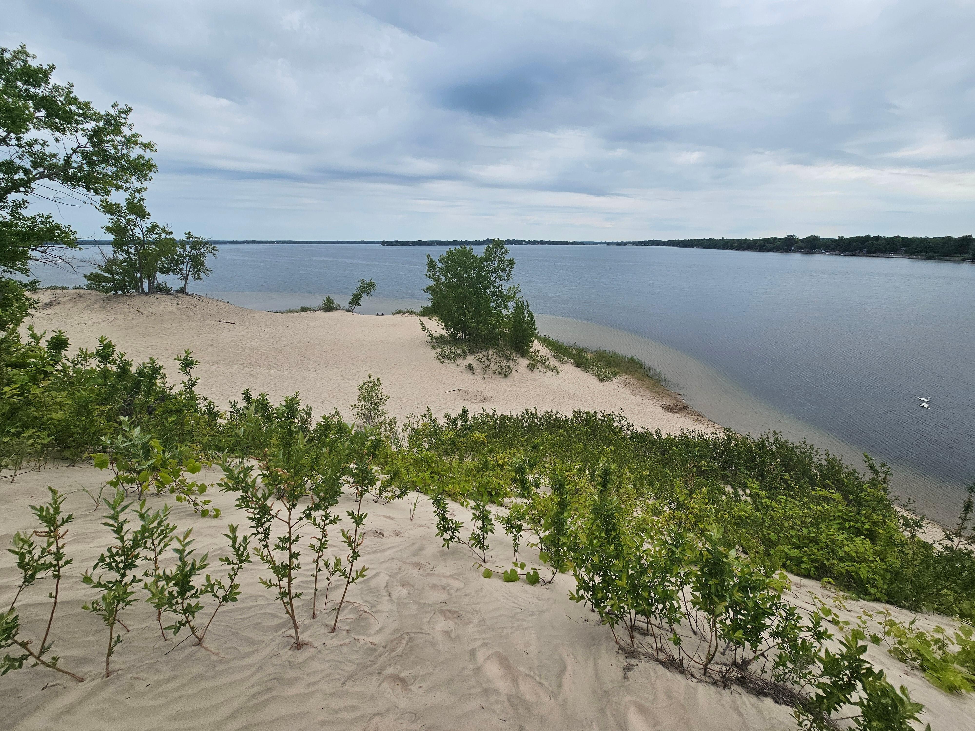 Sand banks