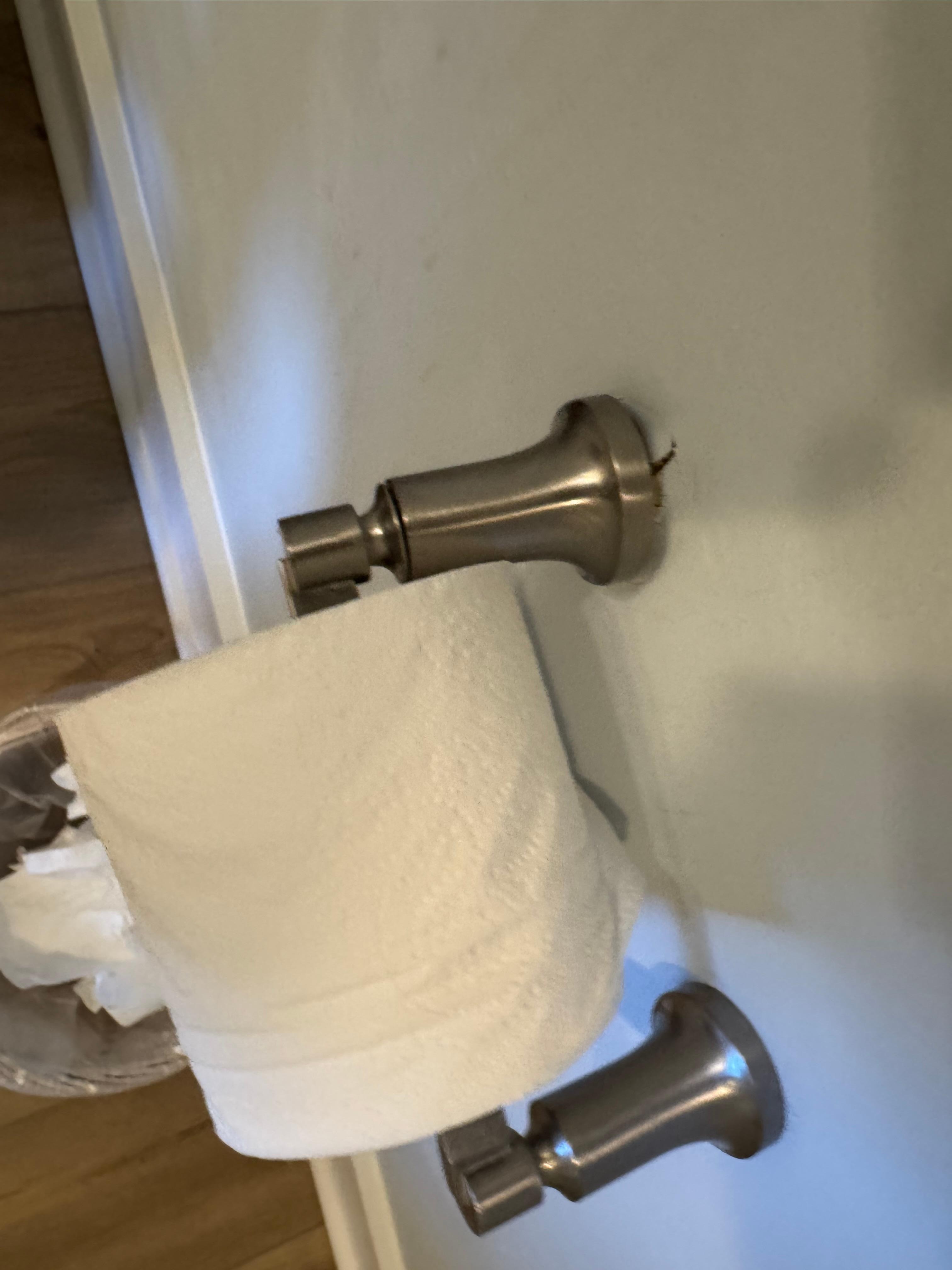 Broken TP Holder