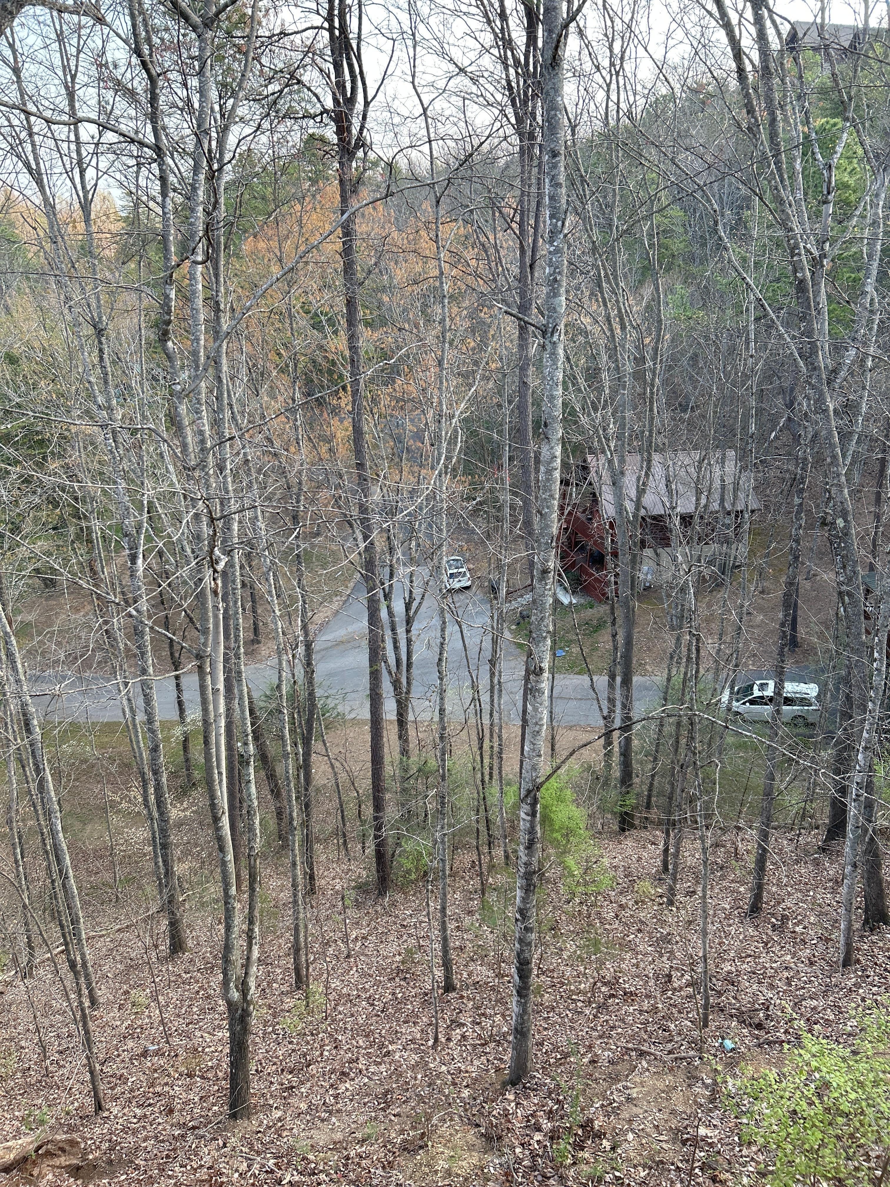  View from the balcony 