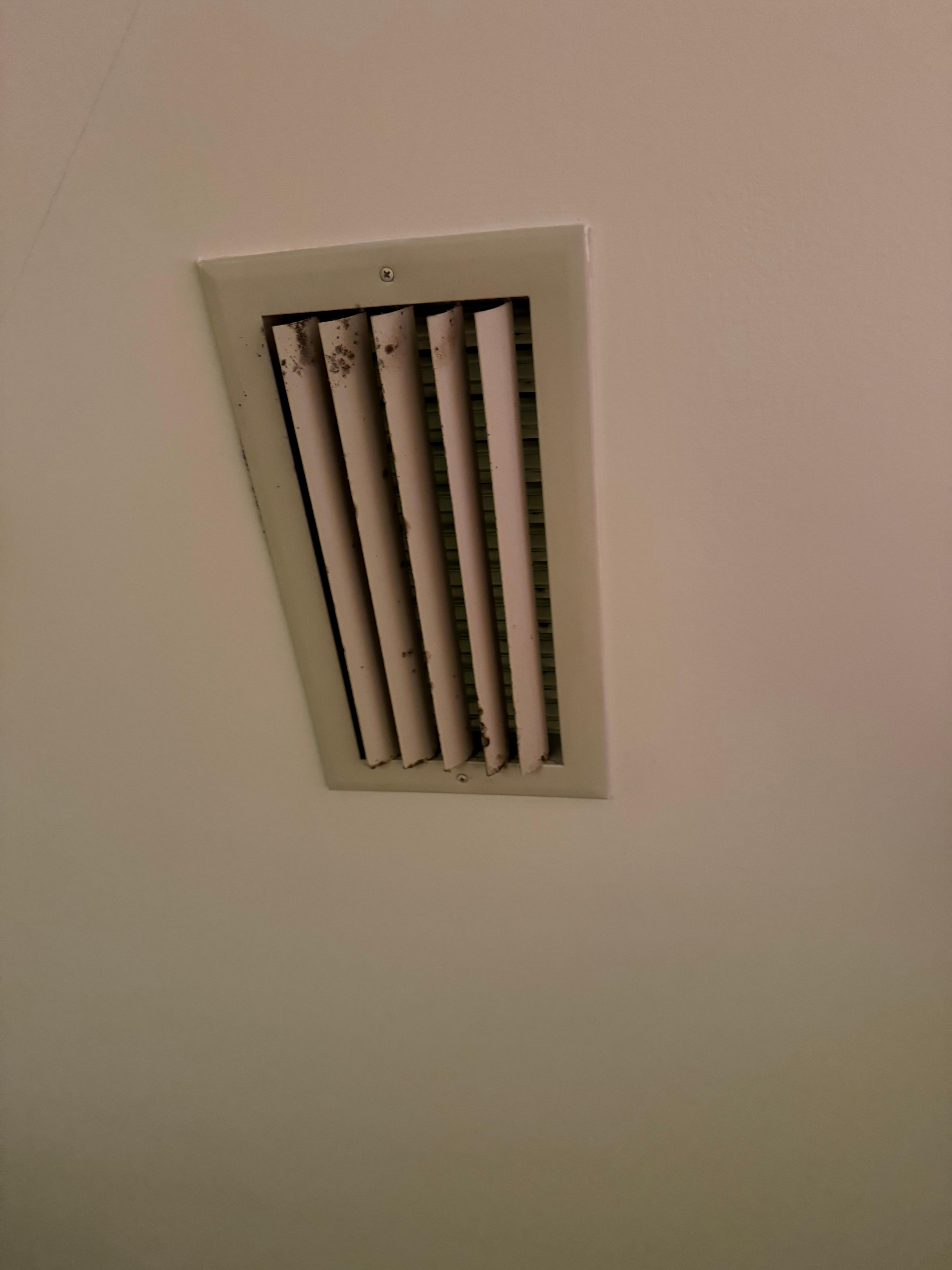 More mold on vents 