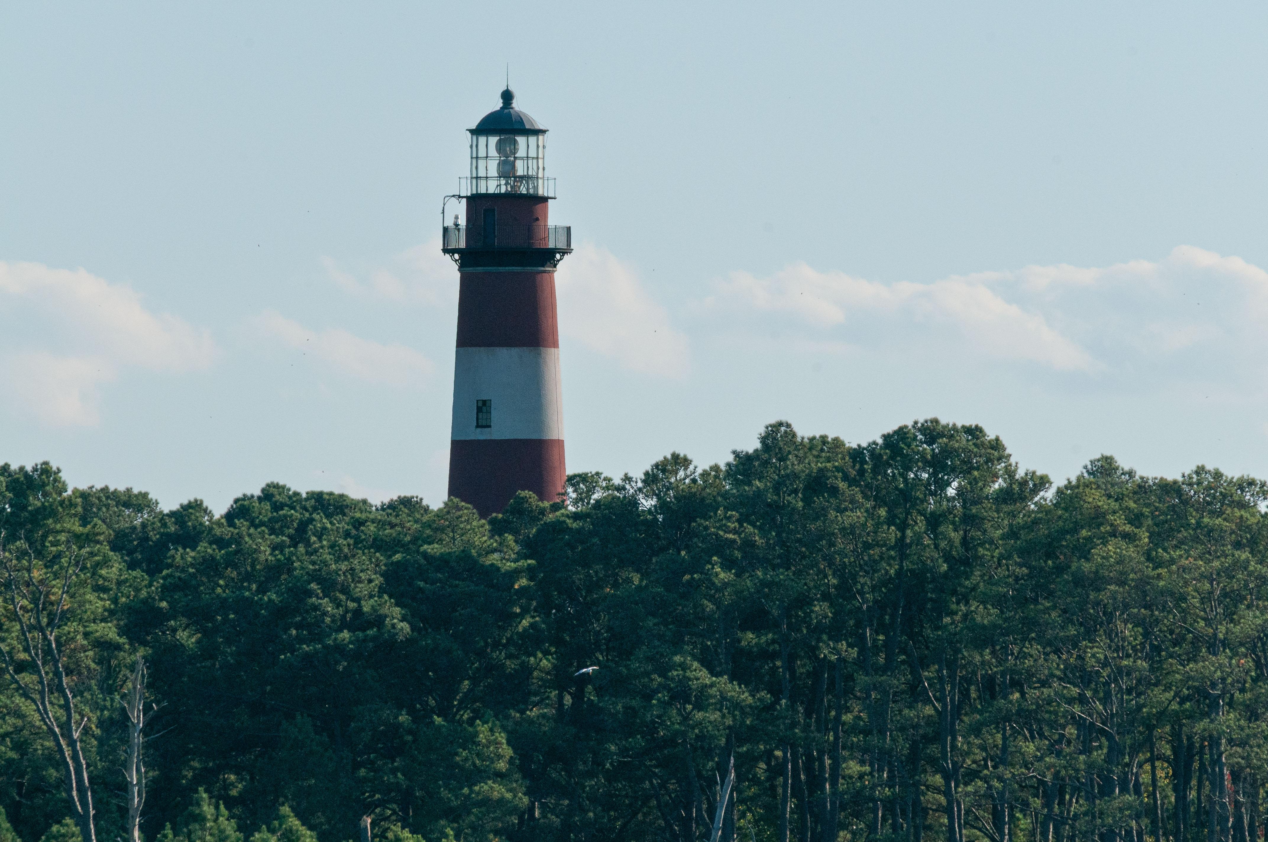 The marsh near the Refuge Inn provided good access to photographing the Assateague Island lighthouse.