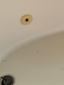 Master Tub