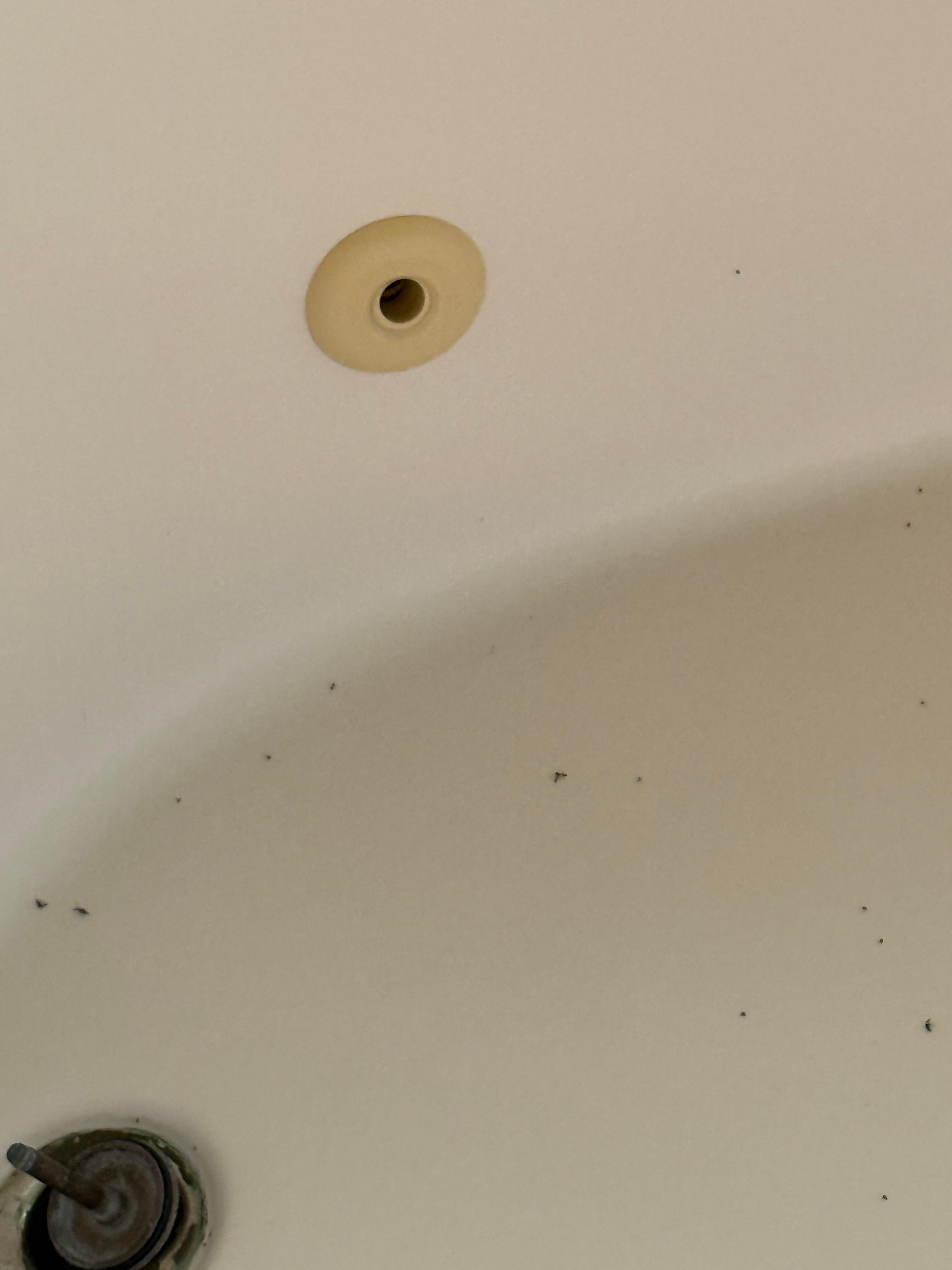 Master Tub