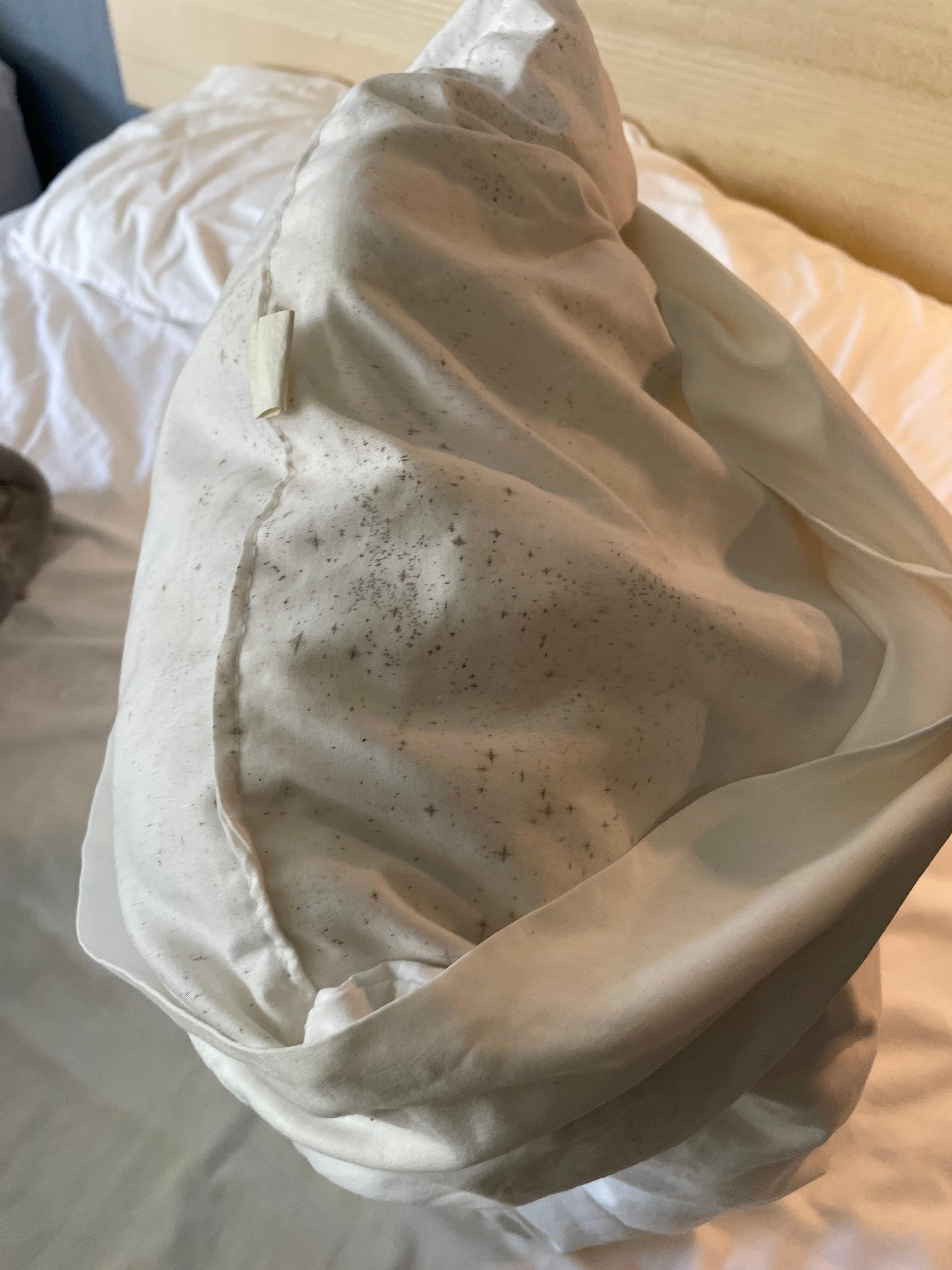 Mold on the pillows 