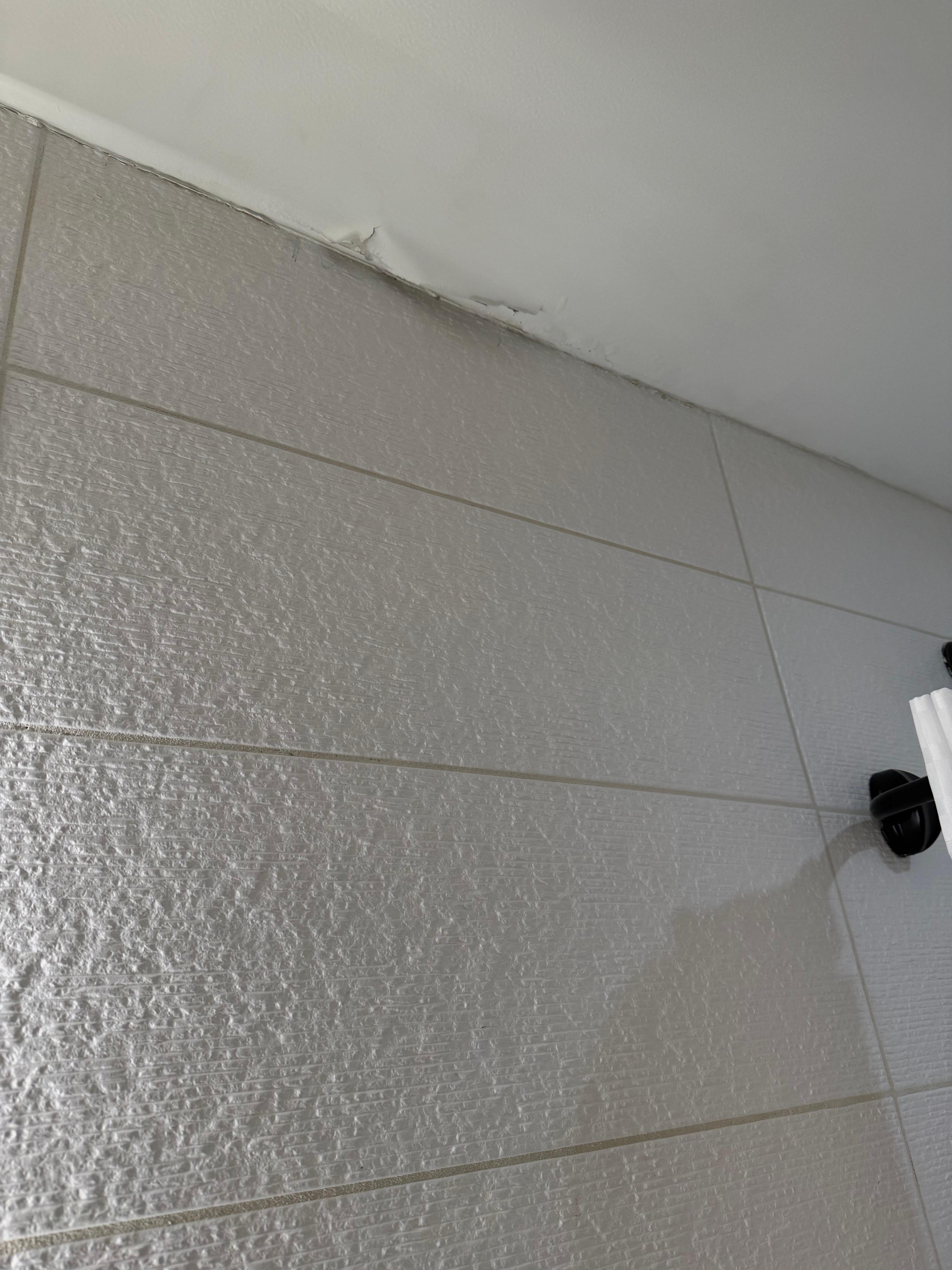 Bathroom Situation! Paint peeling.