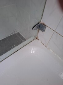 schmutzige, schimmlige Duschkabine