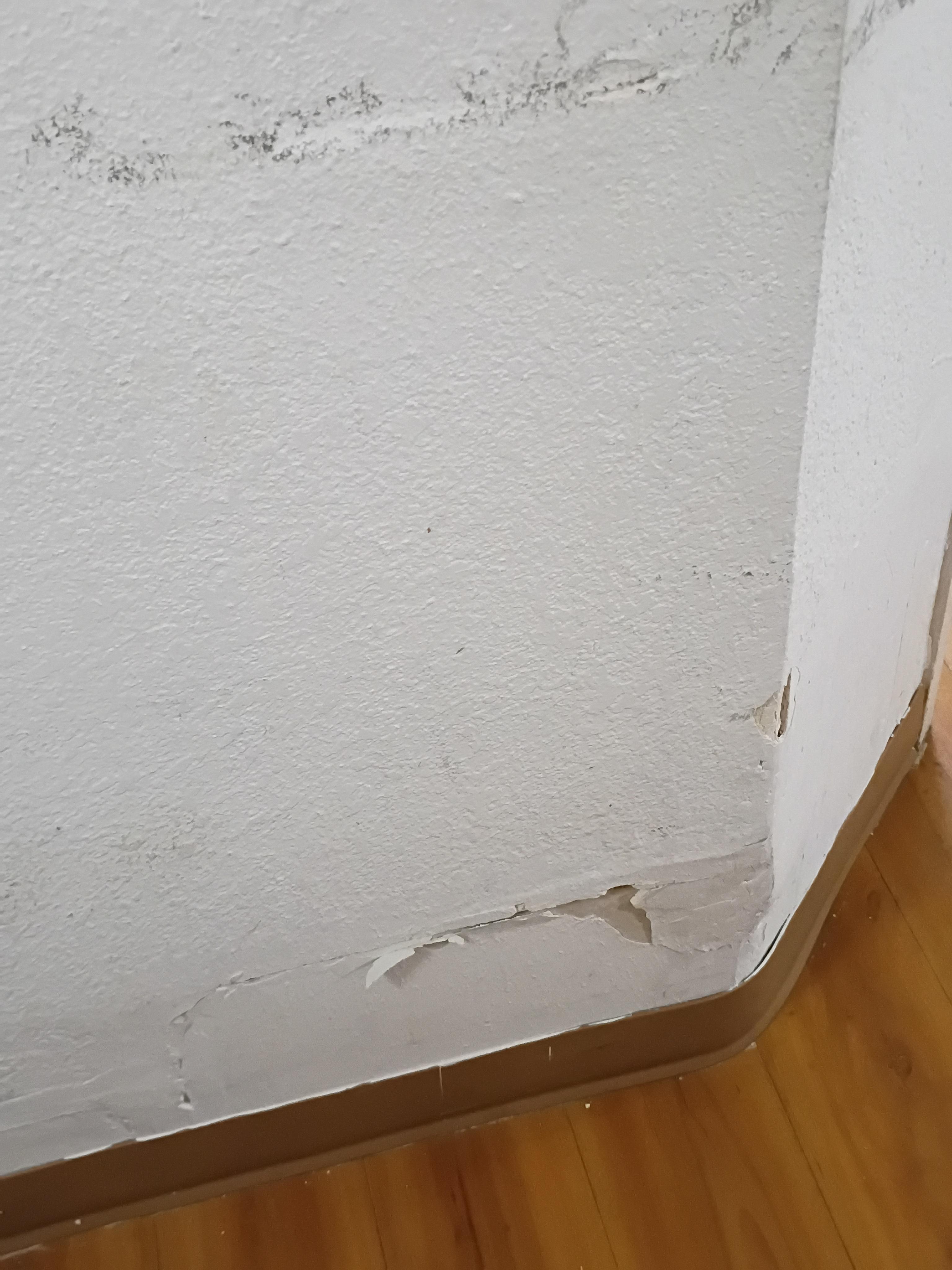 Bathroom wall was crumbling and peeling.
