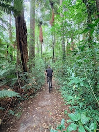 Near trail entrance to “As You Do”