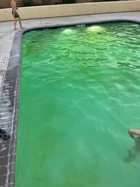 Filthy green pool on a Friday afternoon