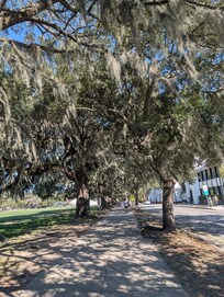 Forsyth Park right next door