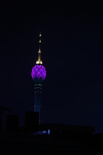 テラスから見えるロータスタワー