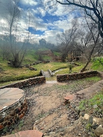 Back yard was beautiful. And there were chickens!