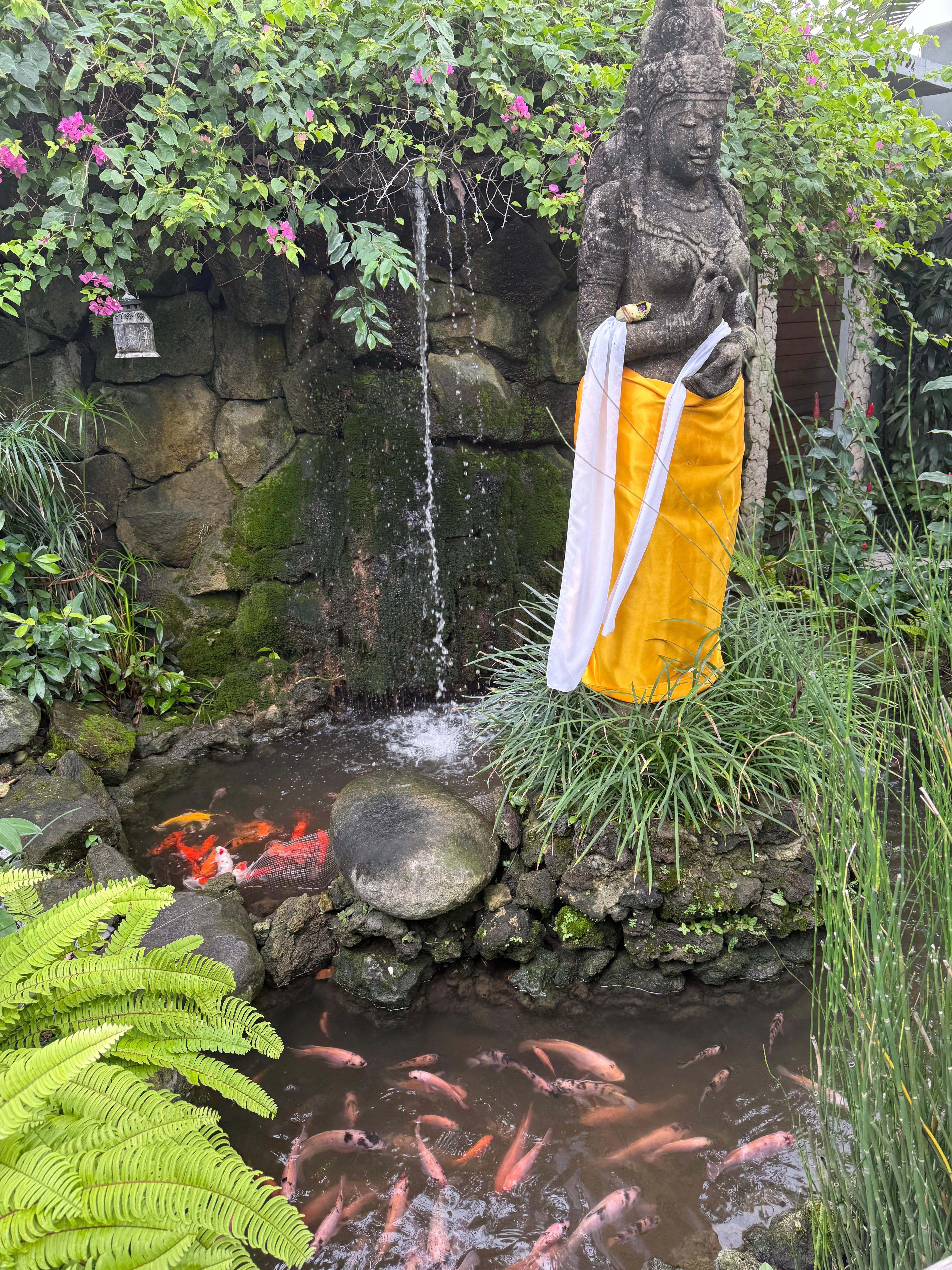 Beautiful pond and koi fish upon our entry.