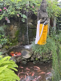 Beautiful pond and koi fish upon our entry.