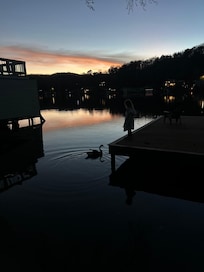 Feeding a Canadian goose off the cool