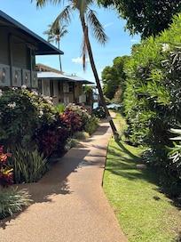 Path to the beach