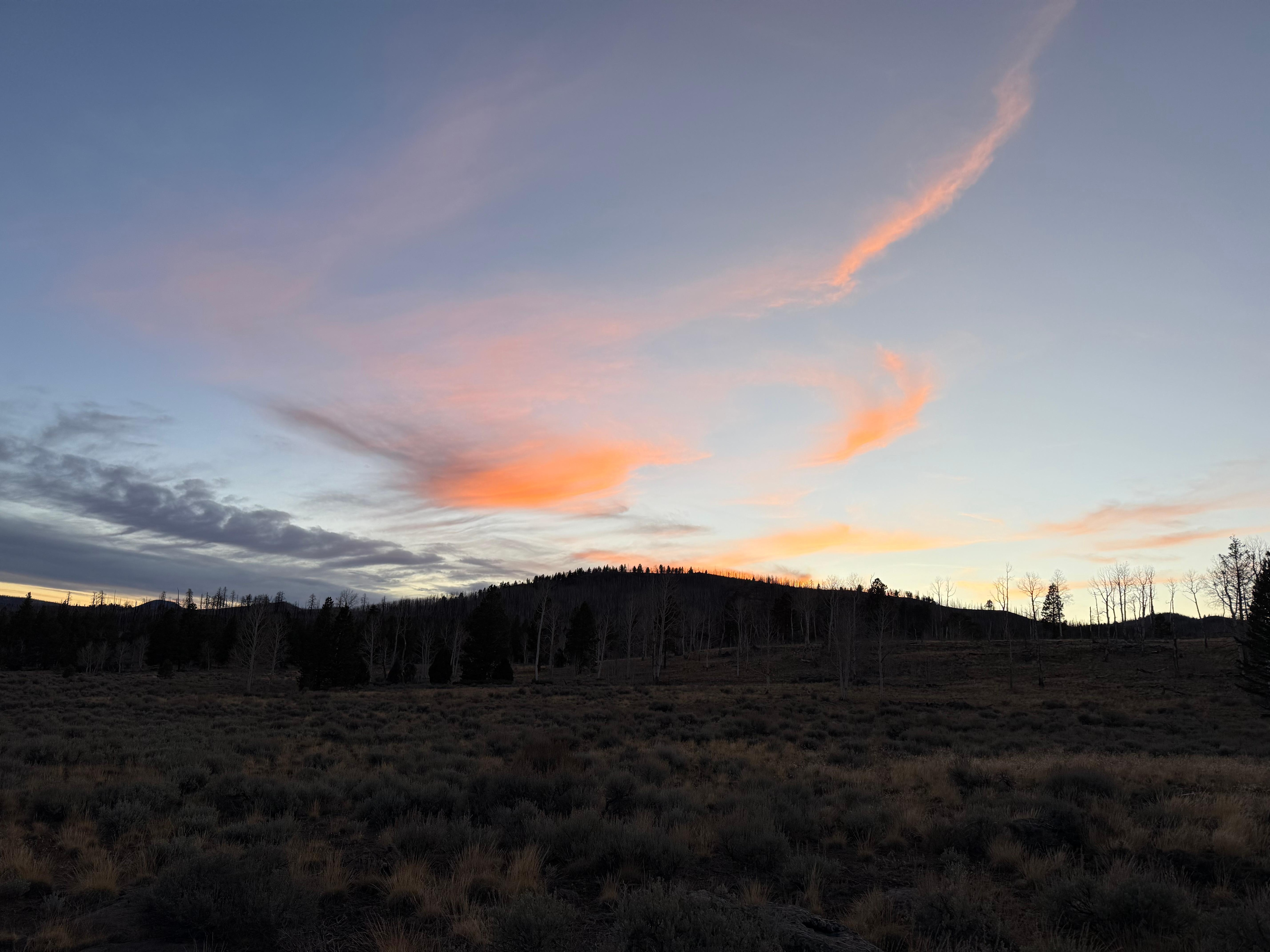 Beautiful sunset hunting