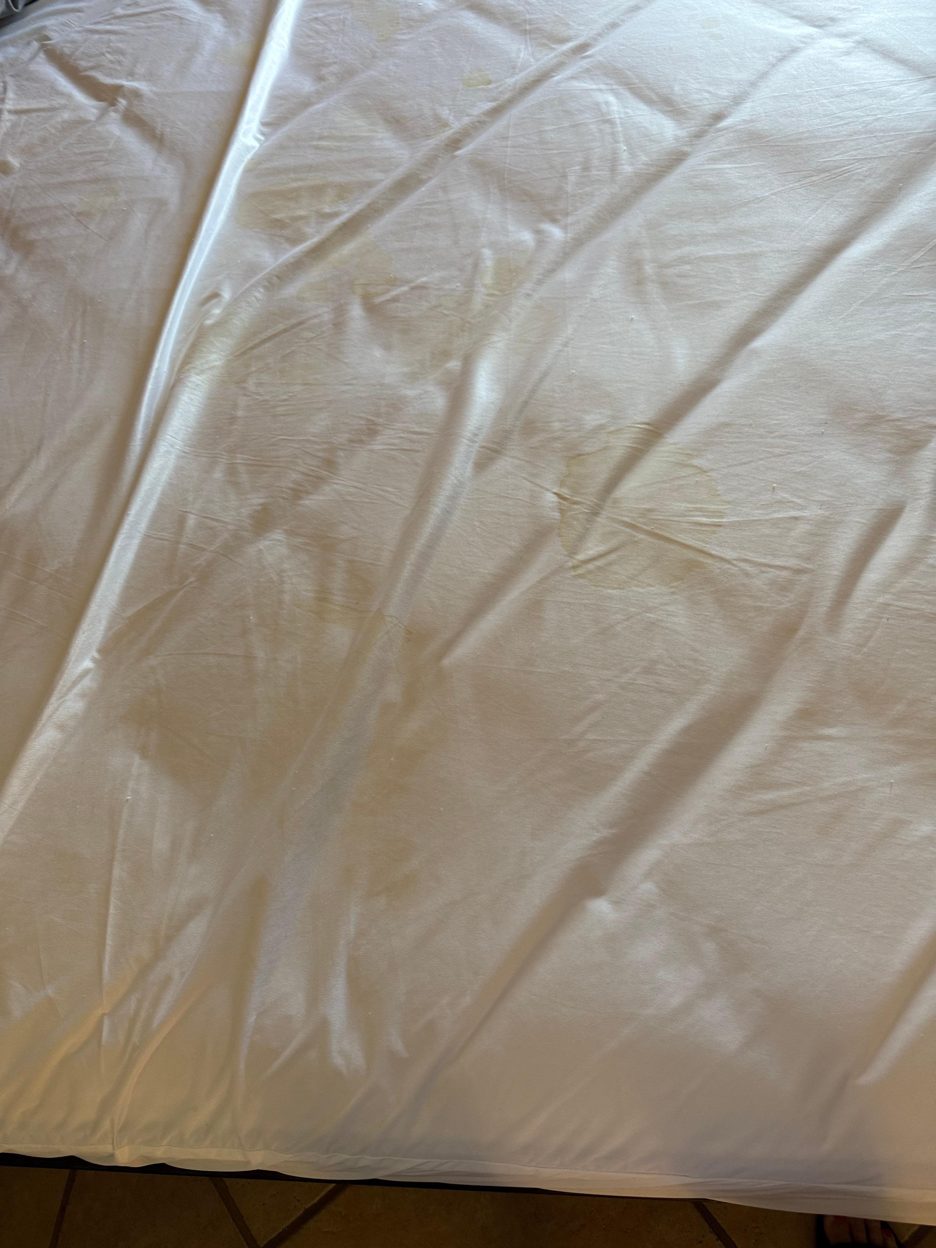 Matters proyecto had blood and sweat stains