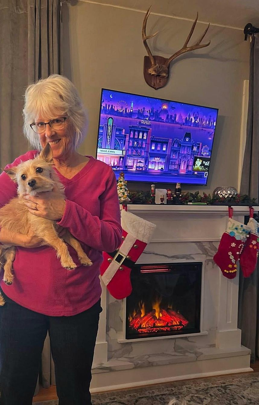 Pet friendly and cozy fireplace