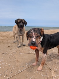 Lake Time fun